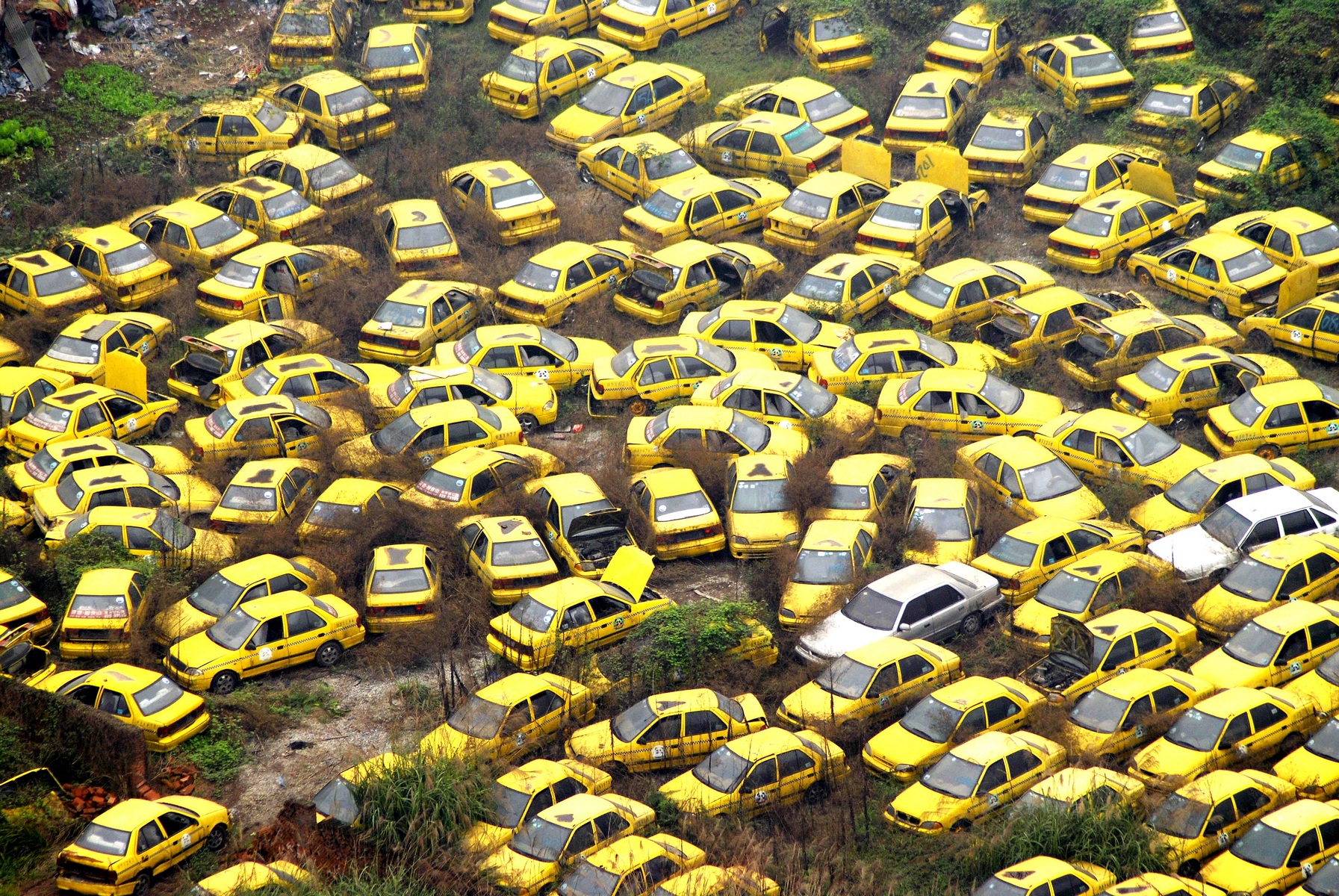 Taxi, které není potřeba Taxi, které není potřeba