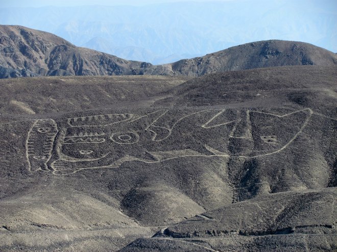Geoglyf kosatky