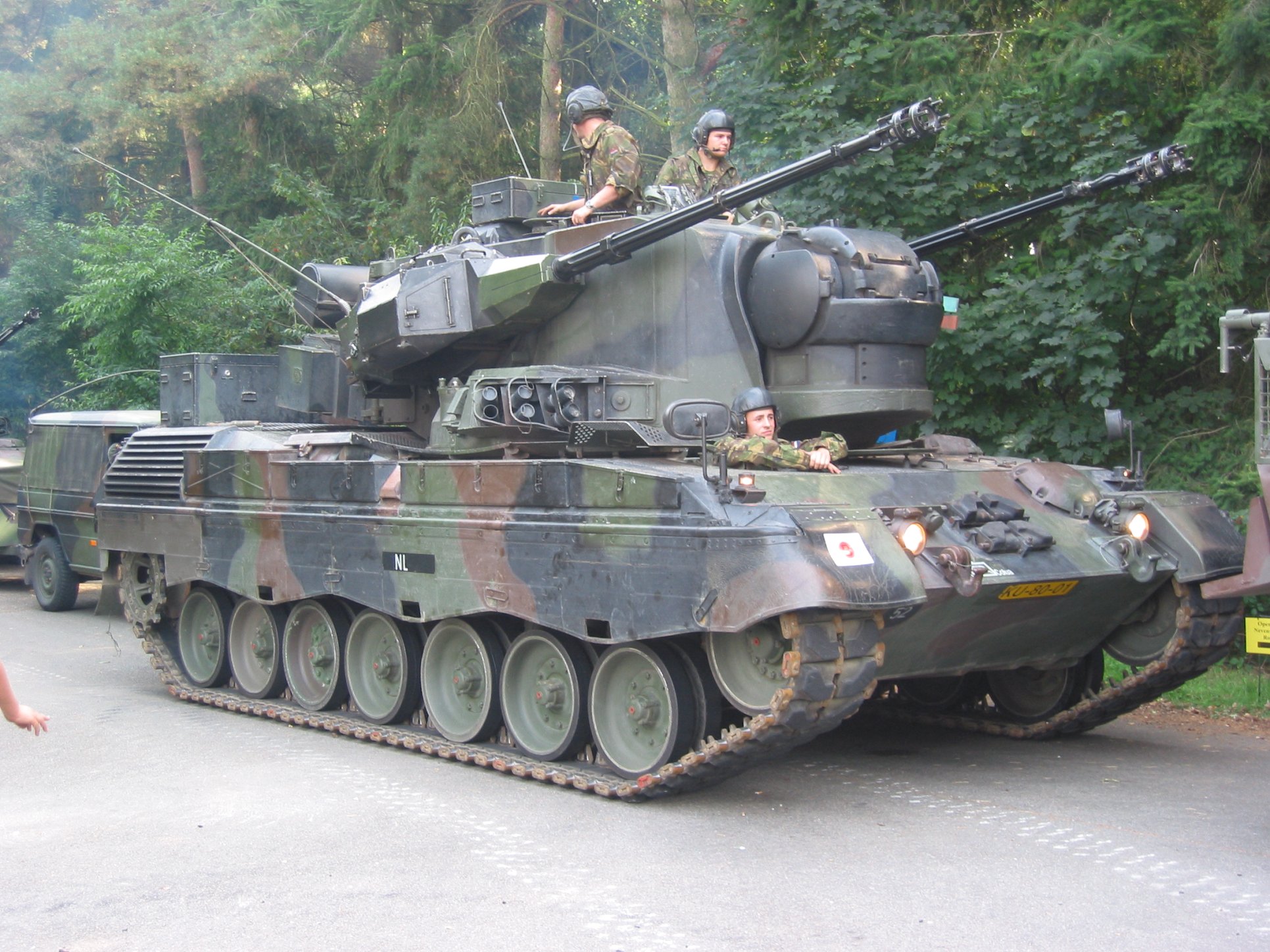 Nizozemský gepard