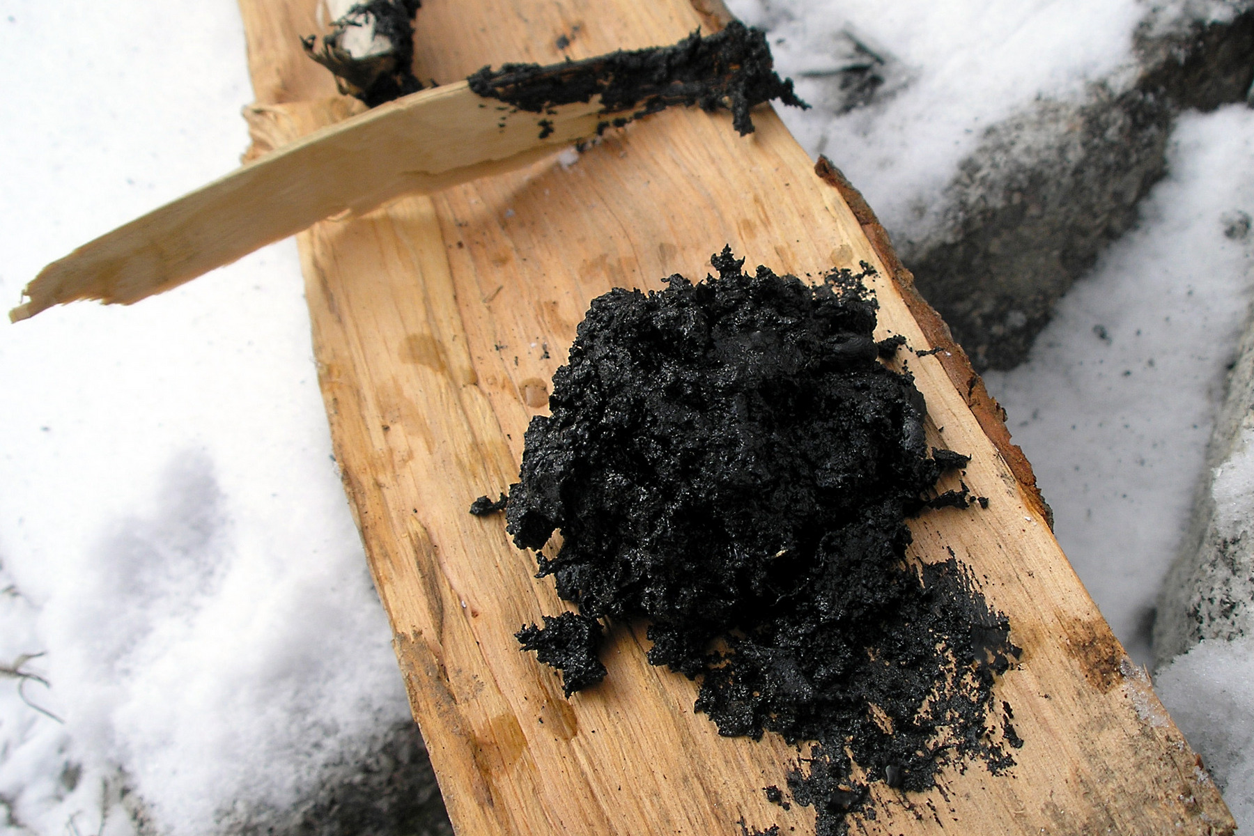 Neandertálci možná znali léčivé účinky březového dehtu a využívali ho k ochraně před infekcemi