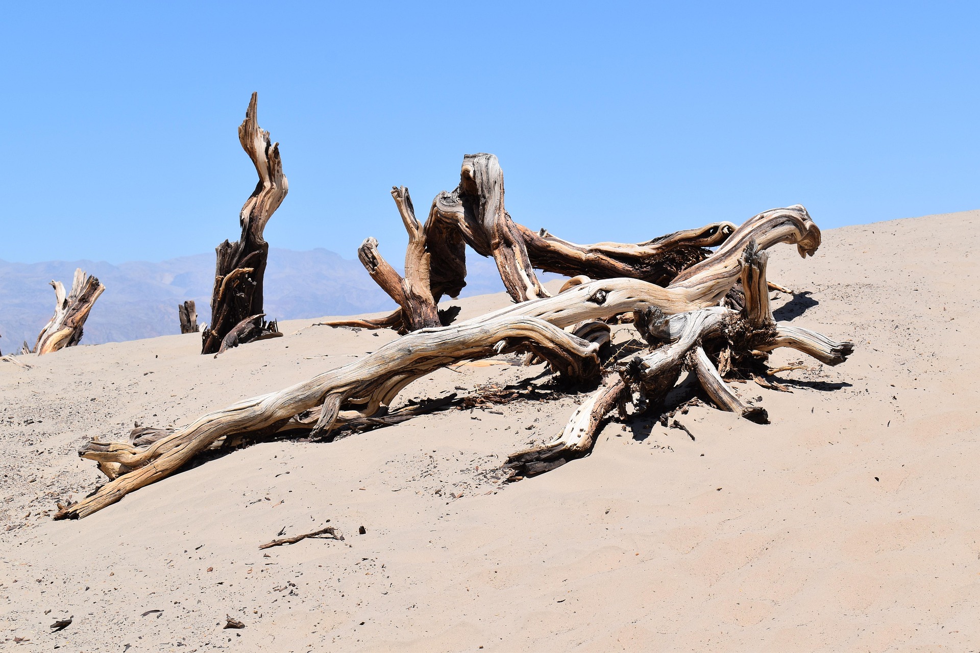 Sucho kvůli postupujícímu globálnímu oteplování může zhoršovat rezistence vůči antibiotikům