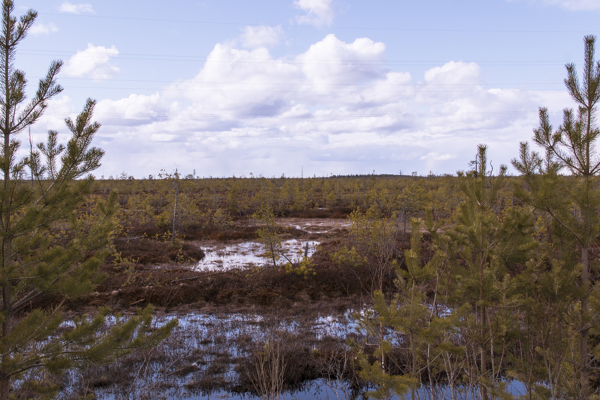 Tající arktický permafrost, který dosud uzamykal obrovské zásoby uhlíku, se může stát nečekaným urychlovačem klimatické změny