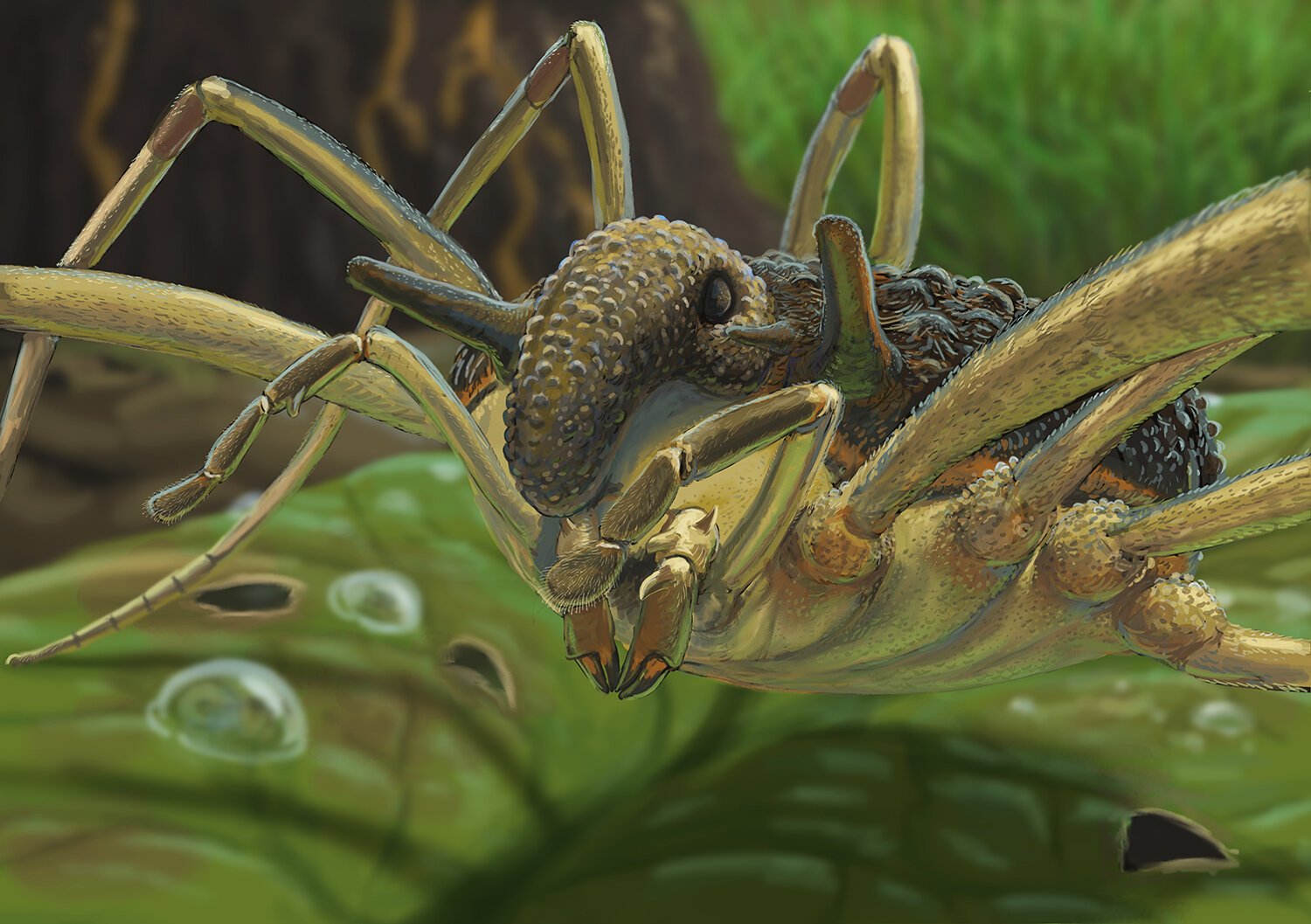 Fosilie drobného pavoukovce zachyceného v jantaru přepisuje mapu dávného života. Jeho příbuzní dnes žijí tisíce kilometrů daleko.