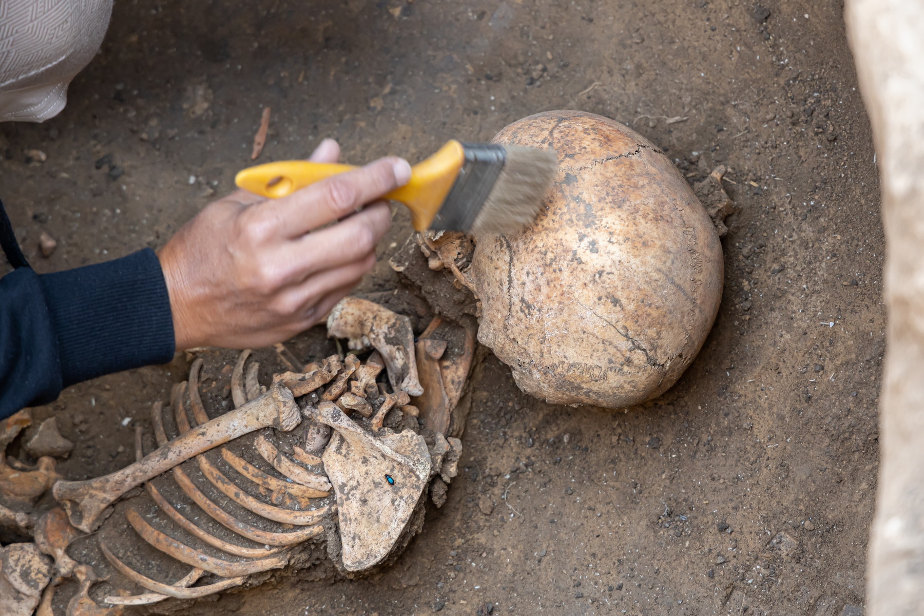 Útočili vikingové? Archeologové objevili v Lotyšsku hrob šesti lidí, jejichž kosti nesou stopy brutálního násilí
