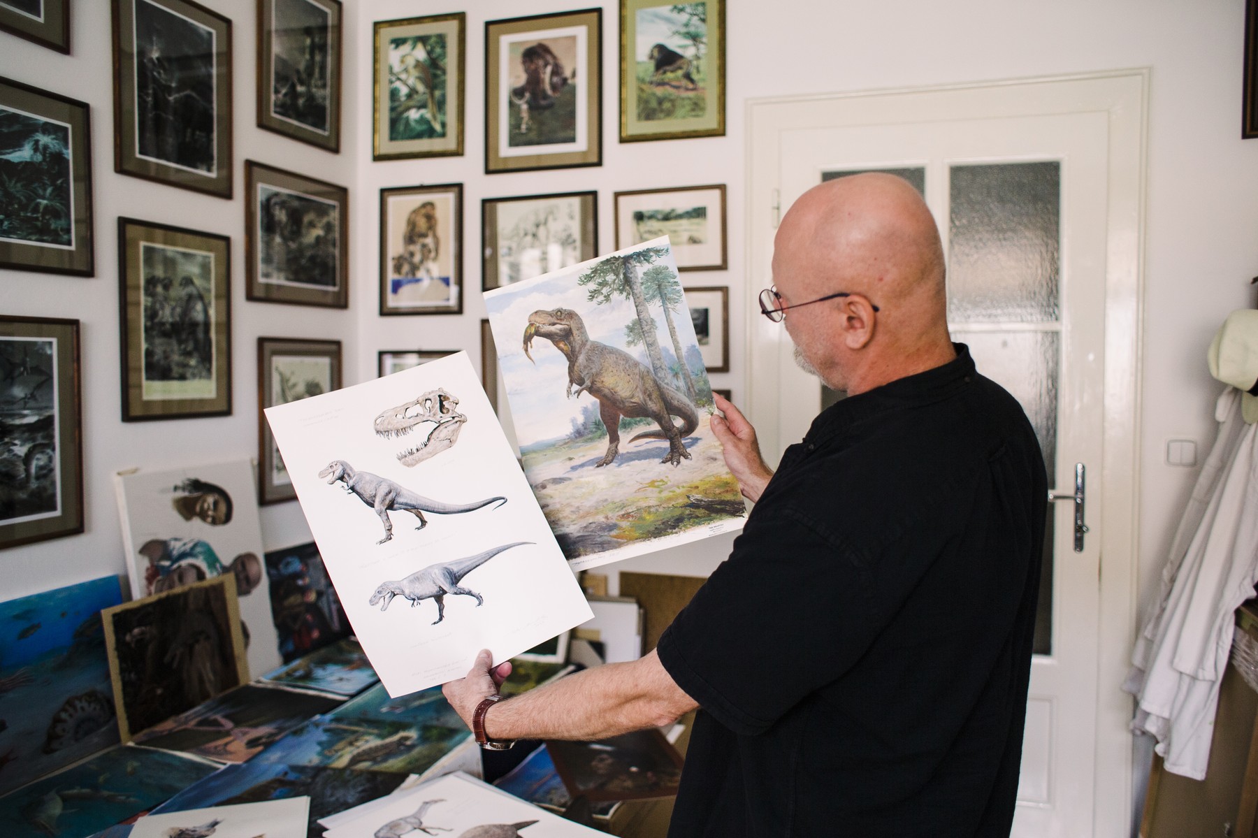 Hledání skutečné podoby dinosaurů: Paleorekonstrukce kombinují umění i vědu