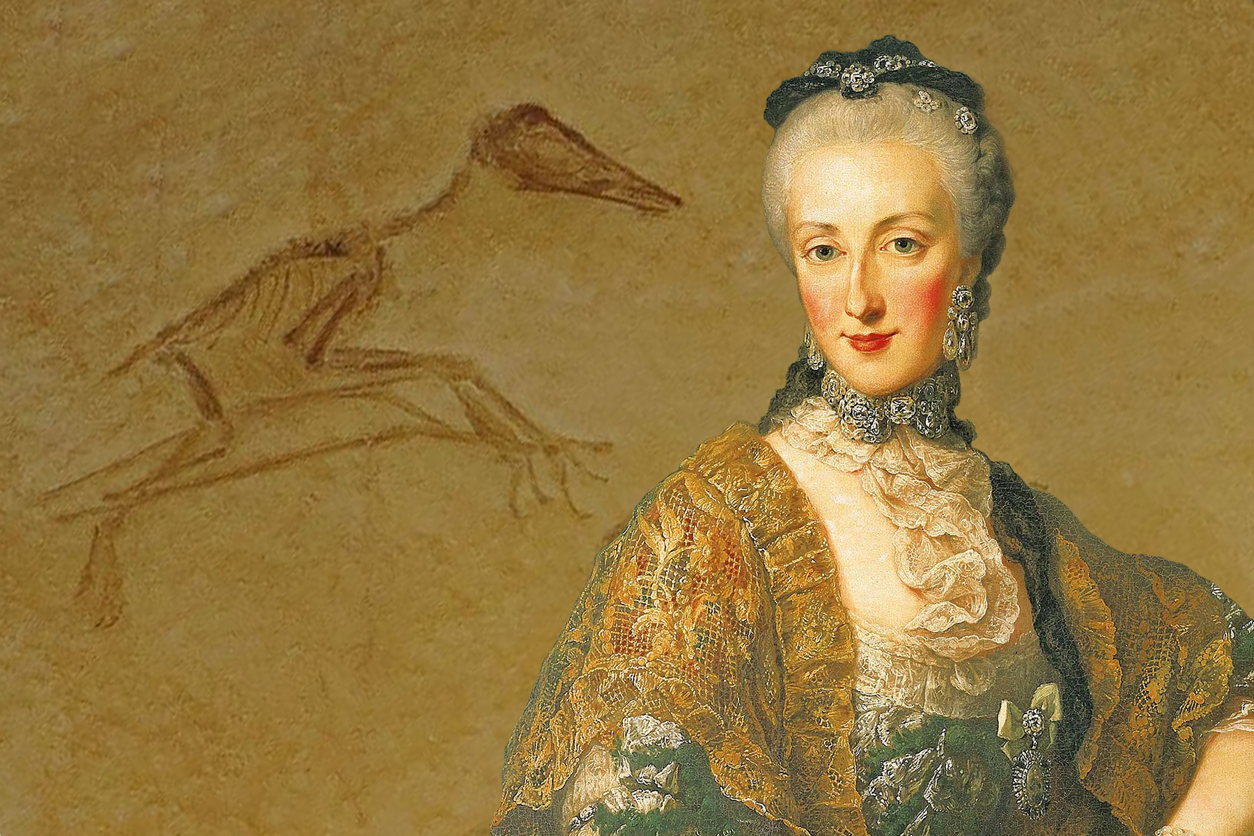 Arcivévodkyně a ptakoještěr: Dcera Marie Terezie zasvětila svůj život přírodním vědám