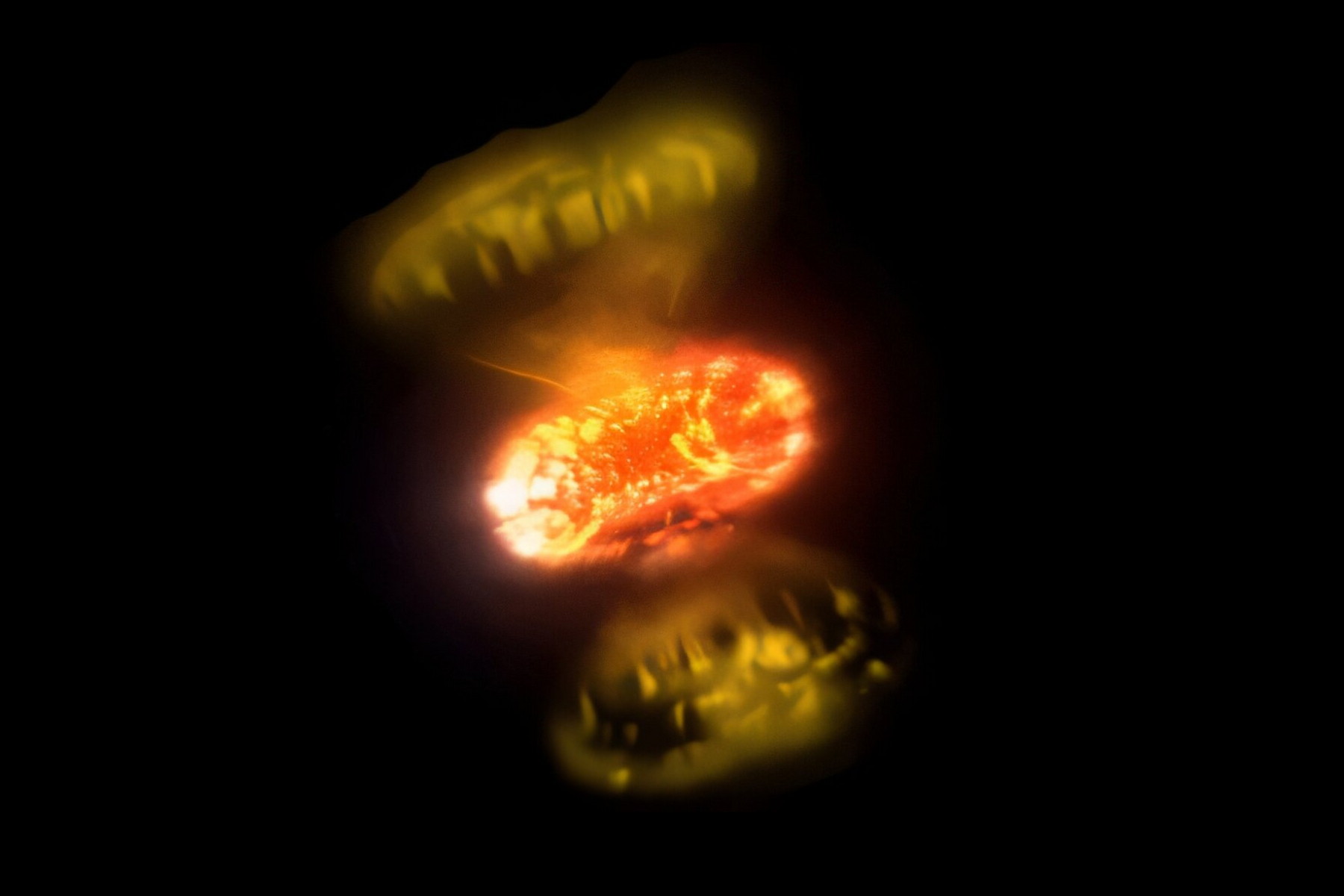 Exploze bílých trpaslíků: Nový pohled do nitra kosmických ohňostrojů