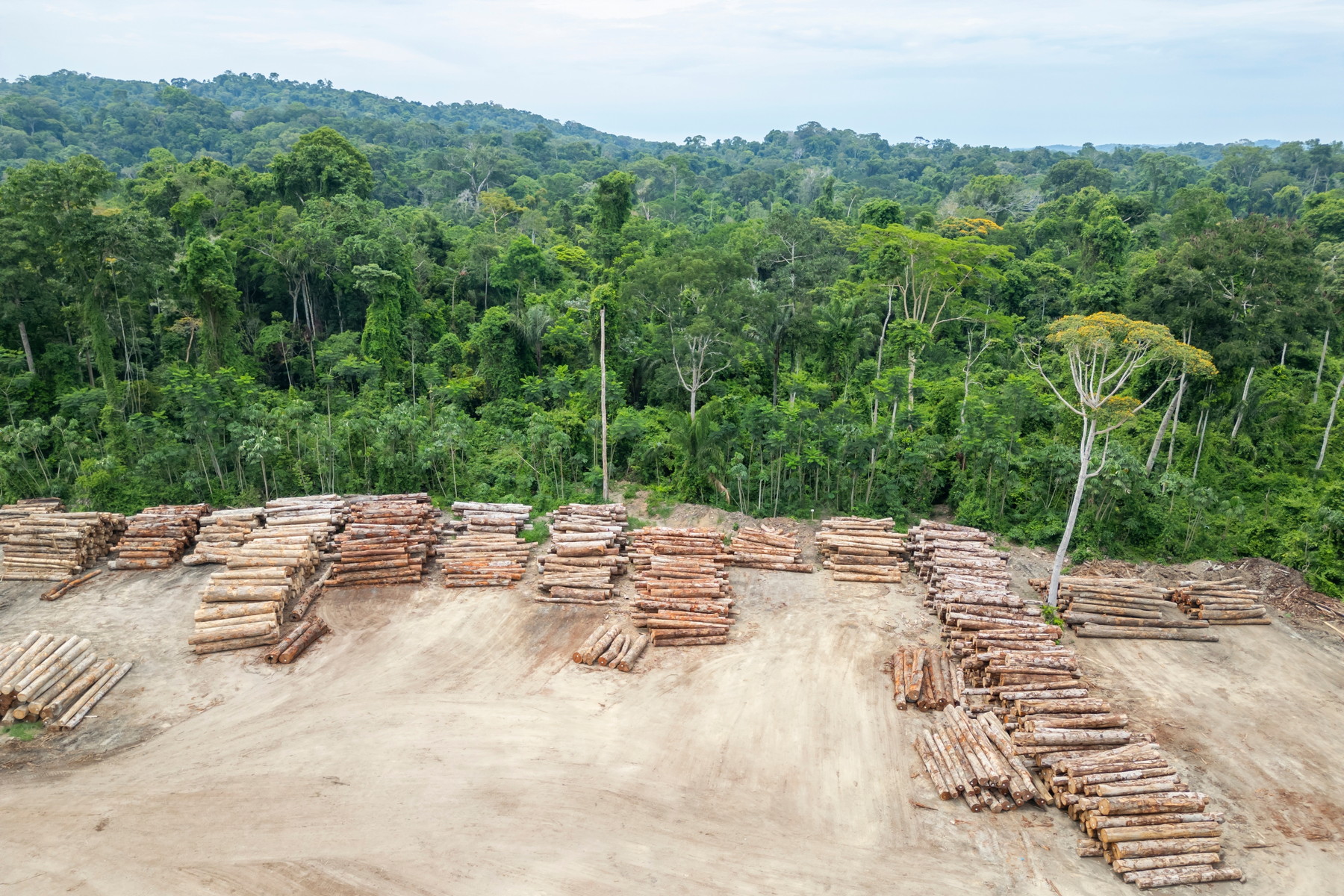 Amazonie míří k hypertropickému klimatu, jaké tu nebylo 10 milionů let