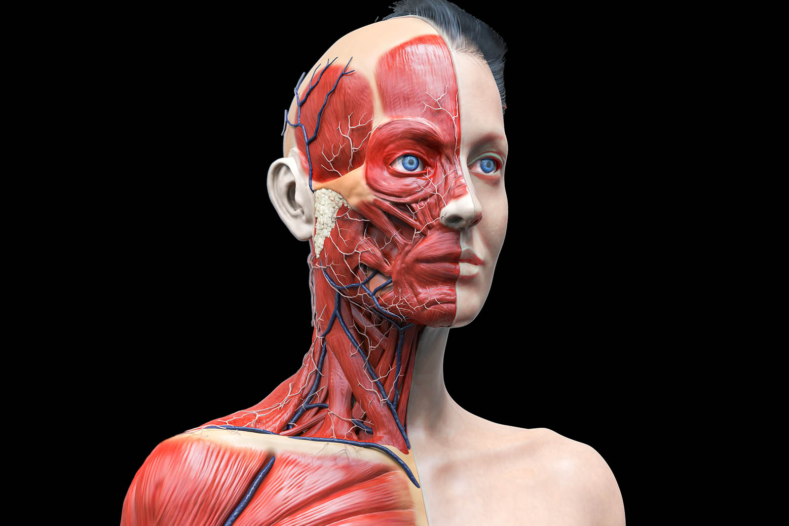 Život po smrti: Jak dlouho funguje mozek bez kyslíku a je možné „oživit“ mrtvé orgány?