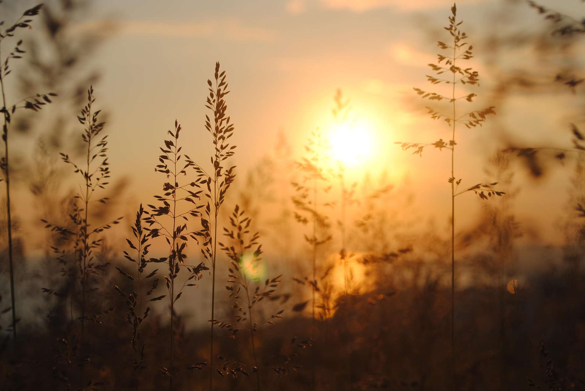 Od výstrahy k trendu: Rok 2025 potvrzuje zrychlující tempo klimatické změny