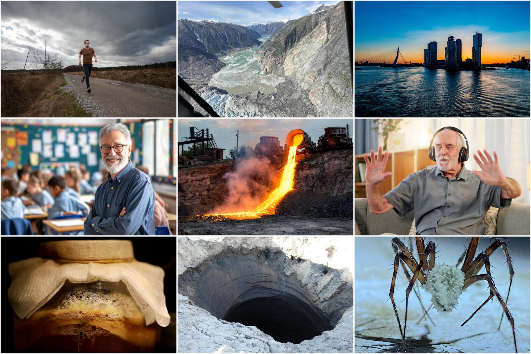 Rok plný otázek a objevů: Nejpopulárnější vědecké články uplynulého roku