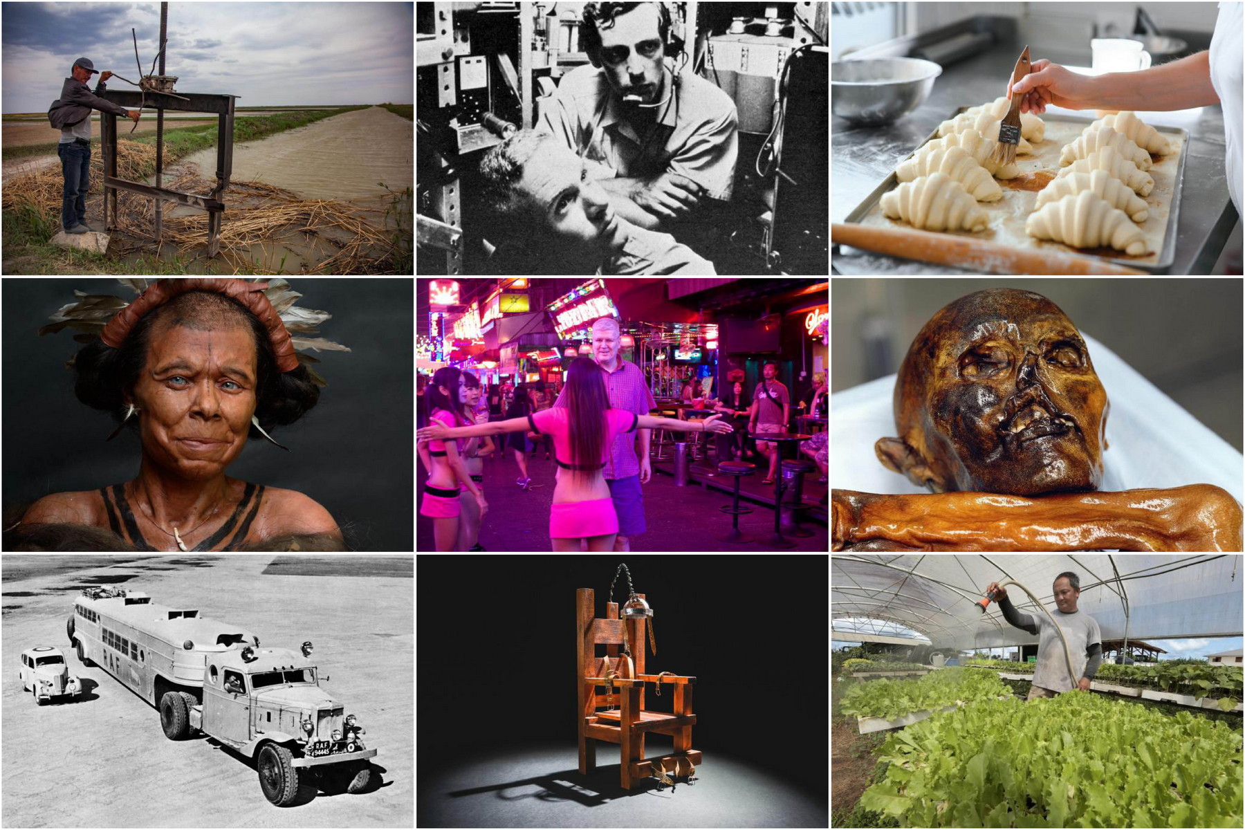 Rok plný objevů a překvapení: Přehled nejzajímavějších článků uplynulého roku