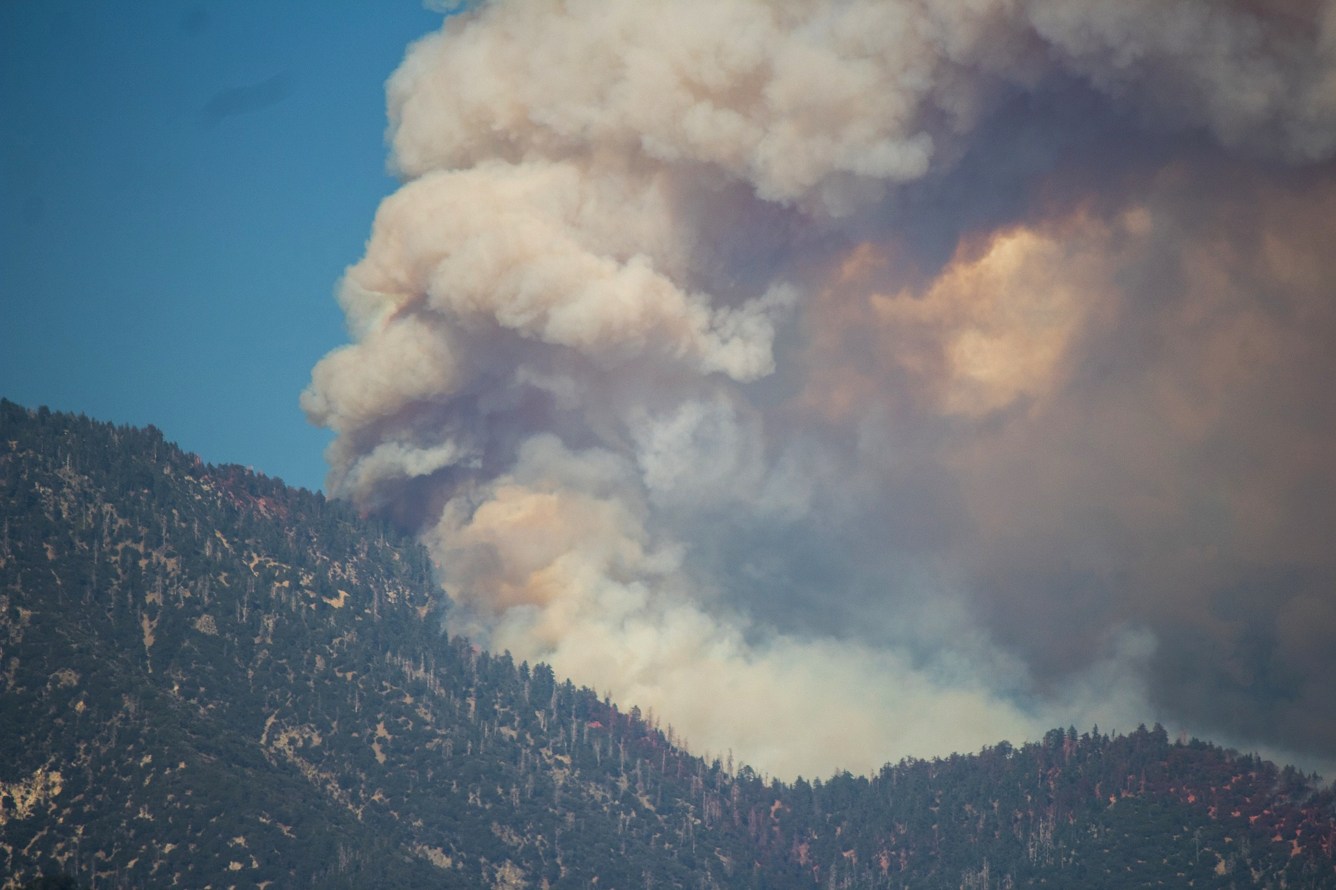 Horší, než se čekalo: Lesní požáry znečišťují ovzduší větším množstvím organických látek
