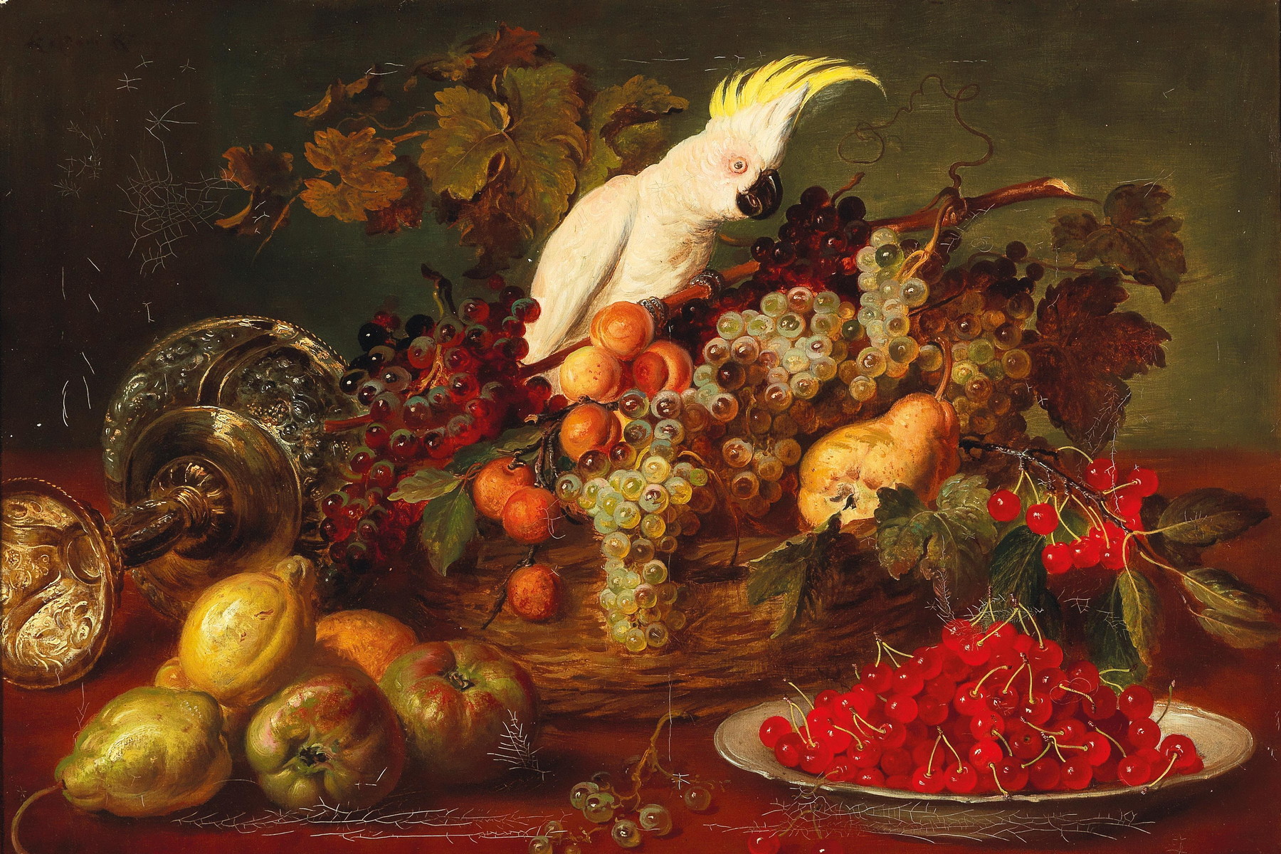 Papoušek na cestách: Proč středověká kresba zamávala světem zoologie?