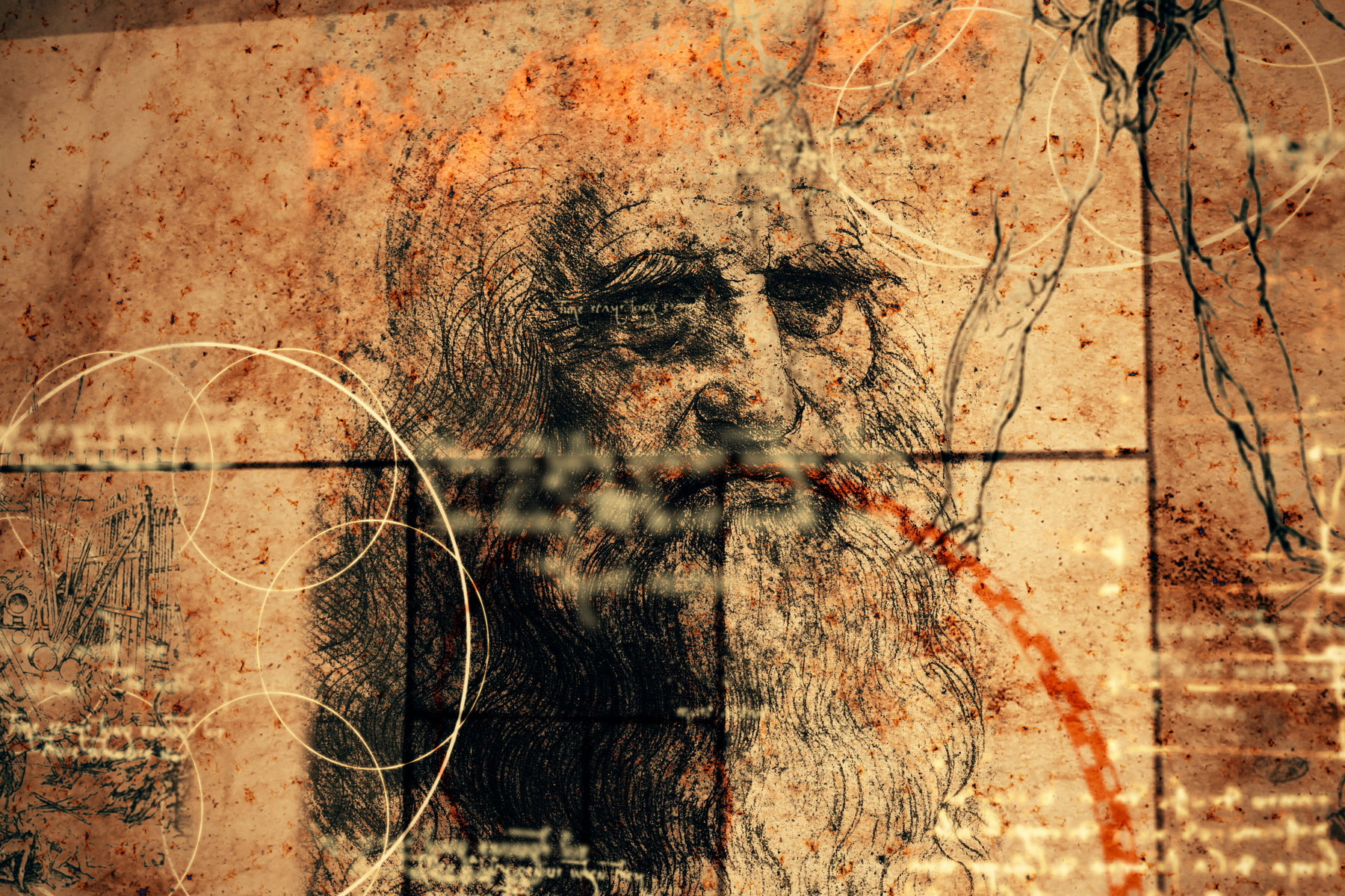 Vědci na renesanční kresbě objevili možné genetické stopy Leonarda da Vinciho 