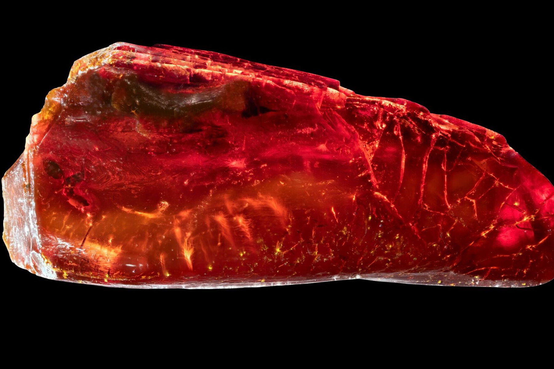 Poklad z Goetheho jantaru: Vědci objevili v básníkově sbírce mravence starého 40 milionů let