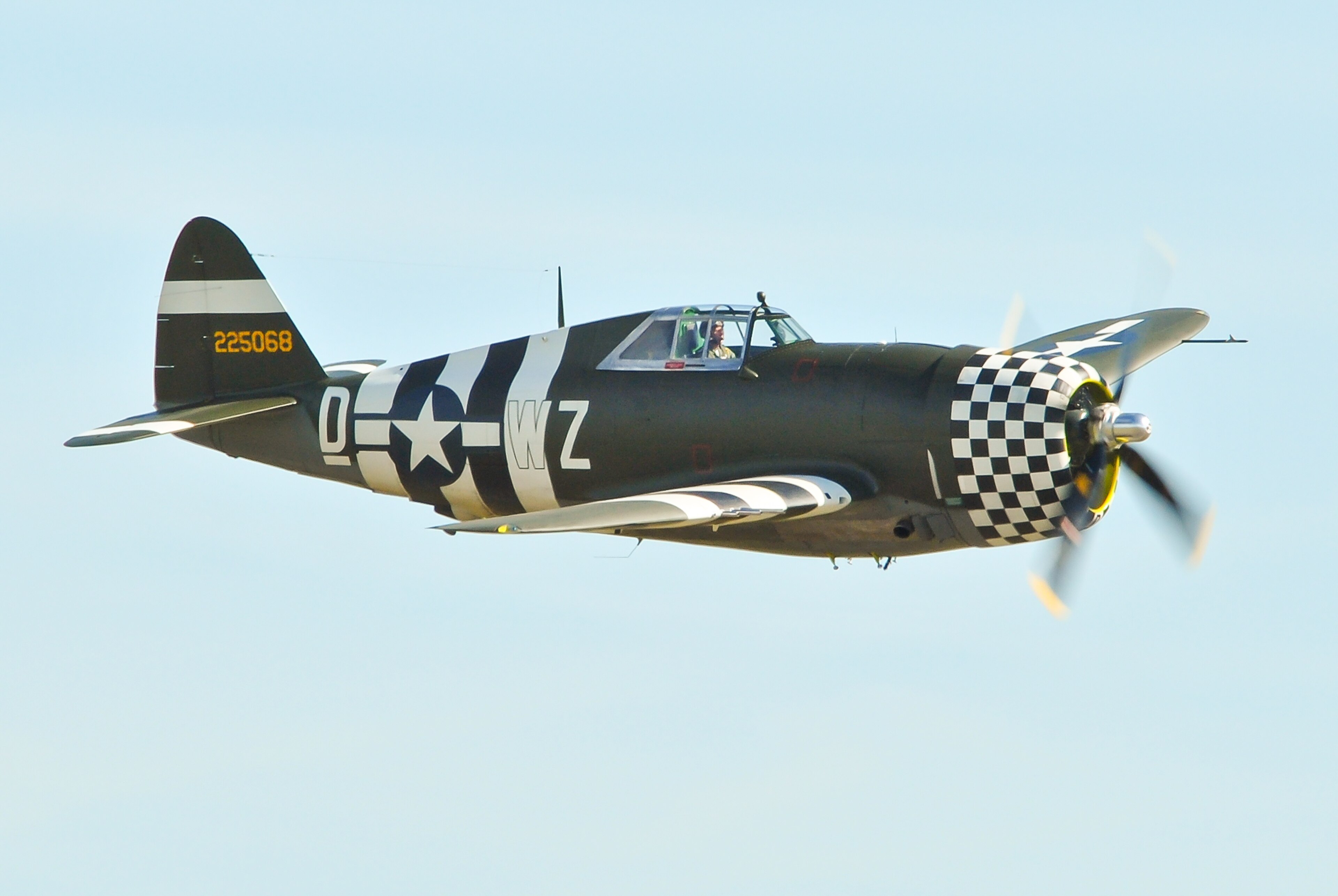 Blesk proti sokolovi: Duel  amerického P-47 Thunderbolt a japonského Ki-43 Hajabusa