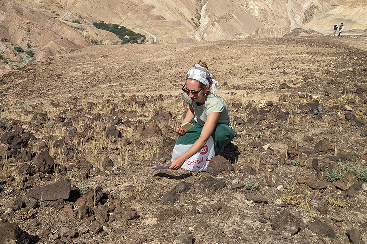 Odkud se vzalo obilí? Umělá inteligence ukazuje na malou oblast u Středozemního moře