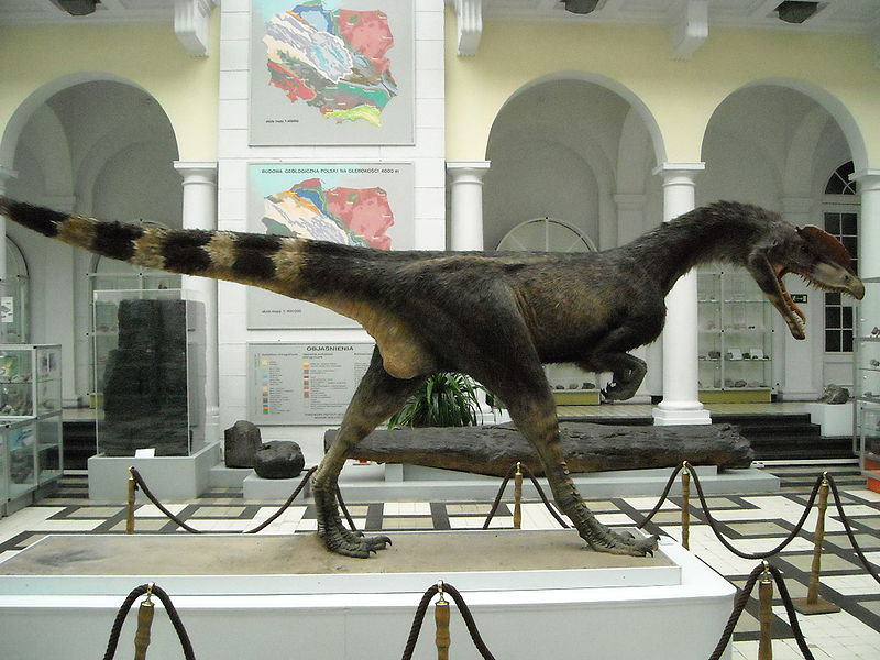 Dilophosaurus