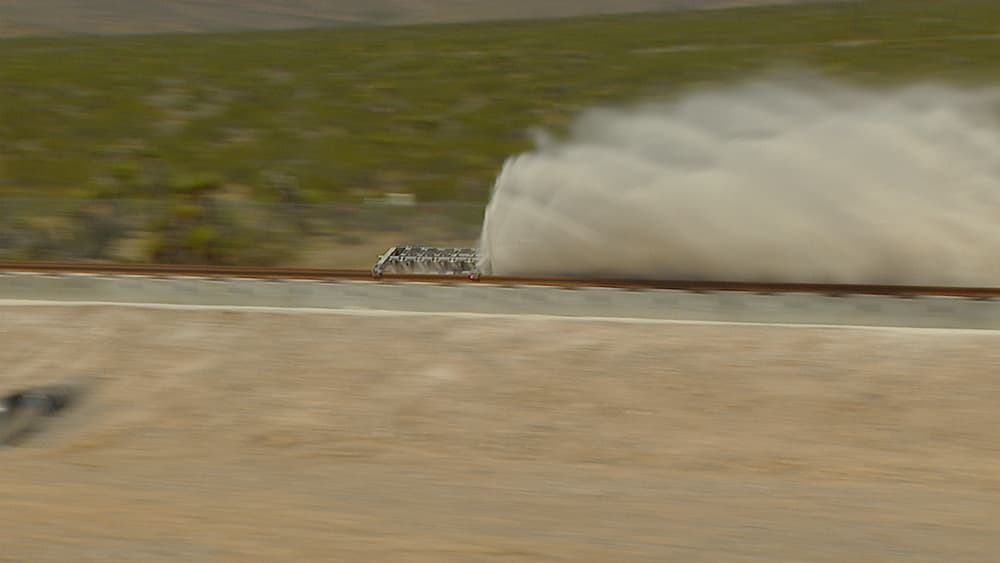 Sandshark