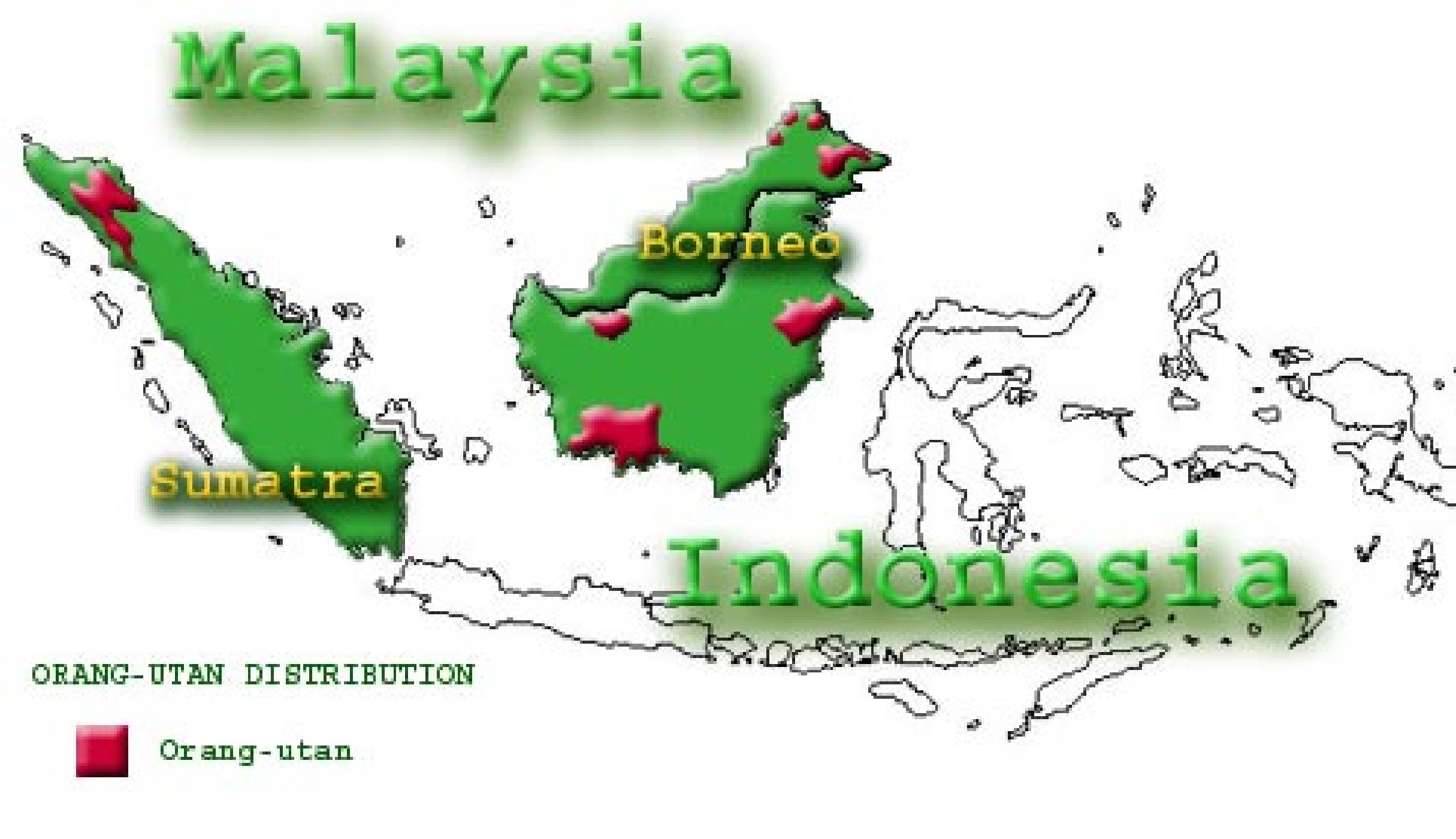 Mapa výskytu orangutanů