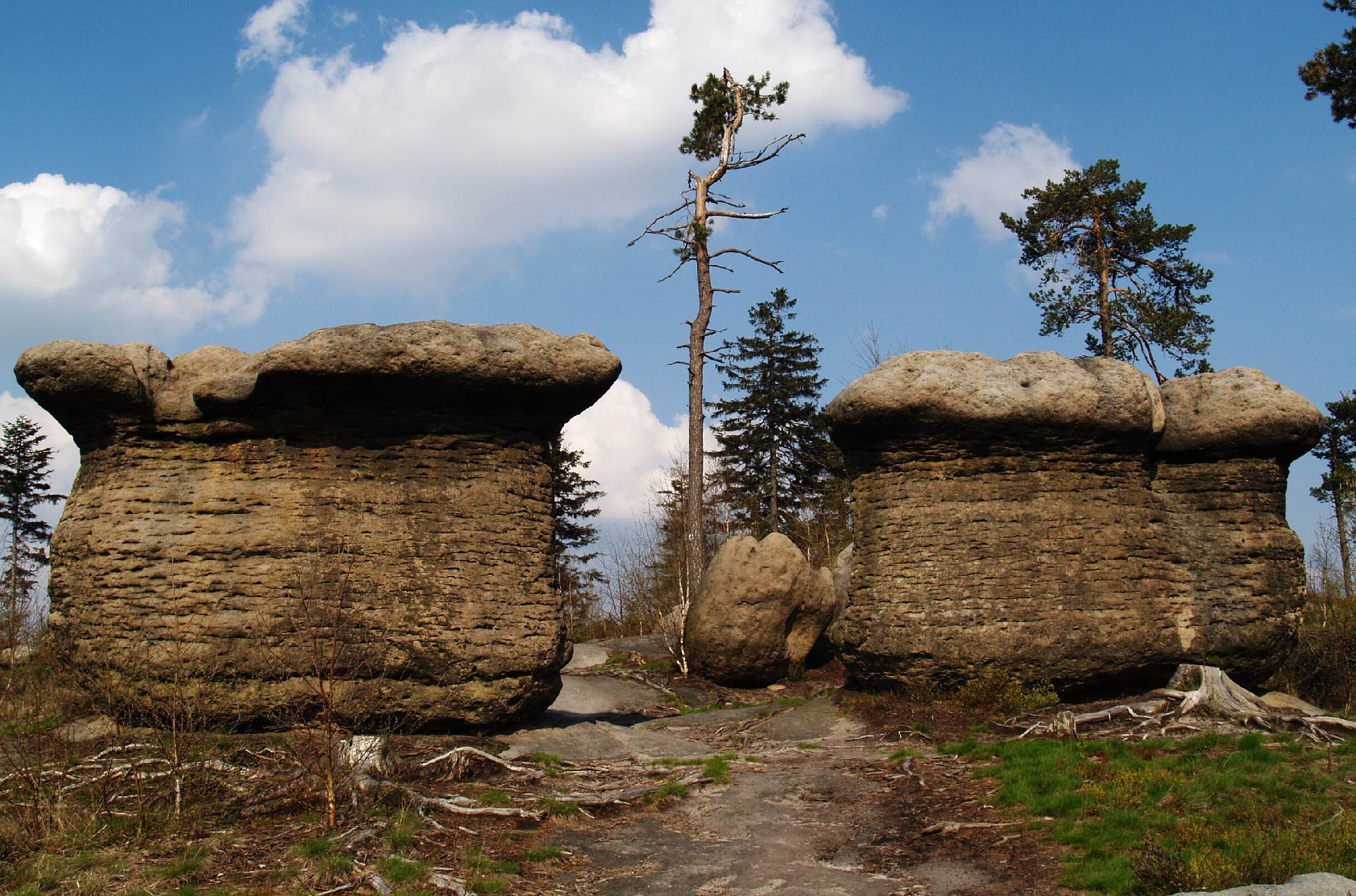 Slavenské hřiby