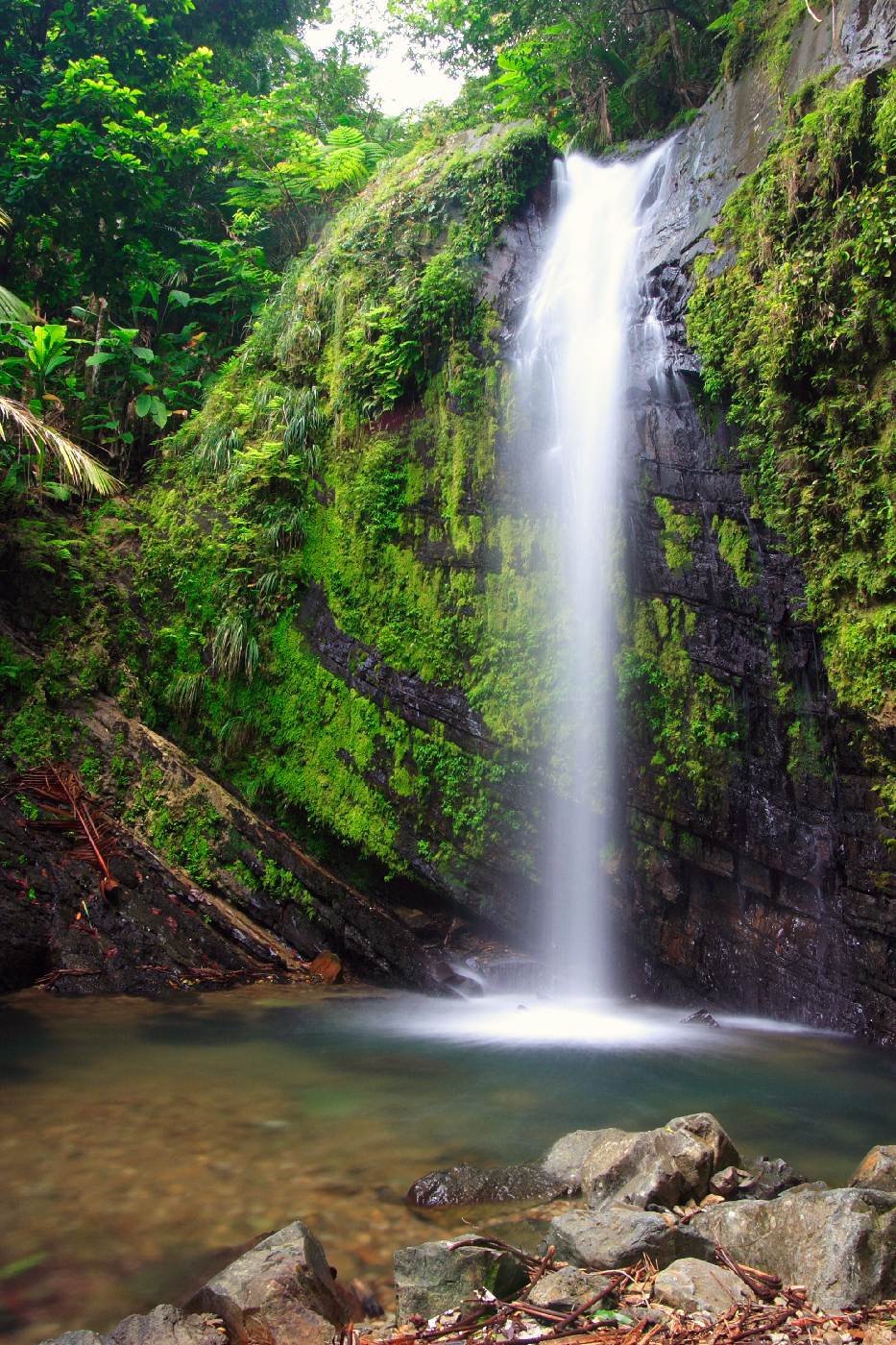 Krása padající vody