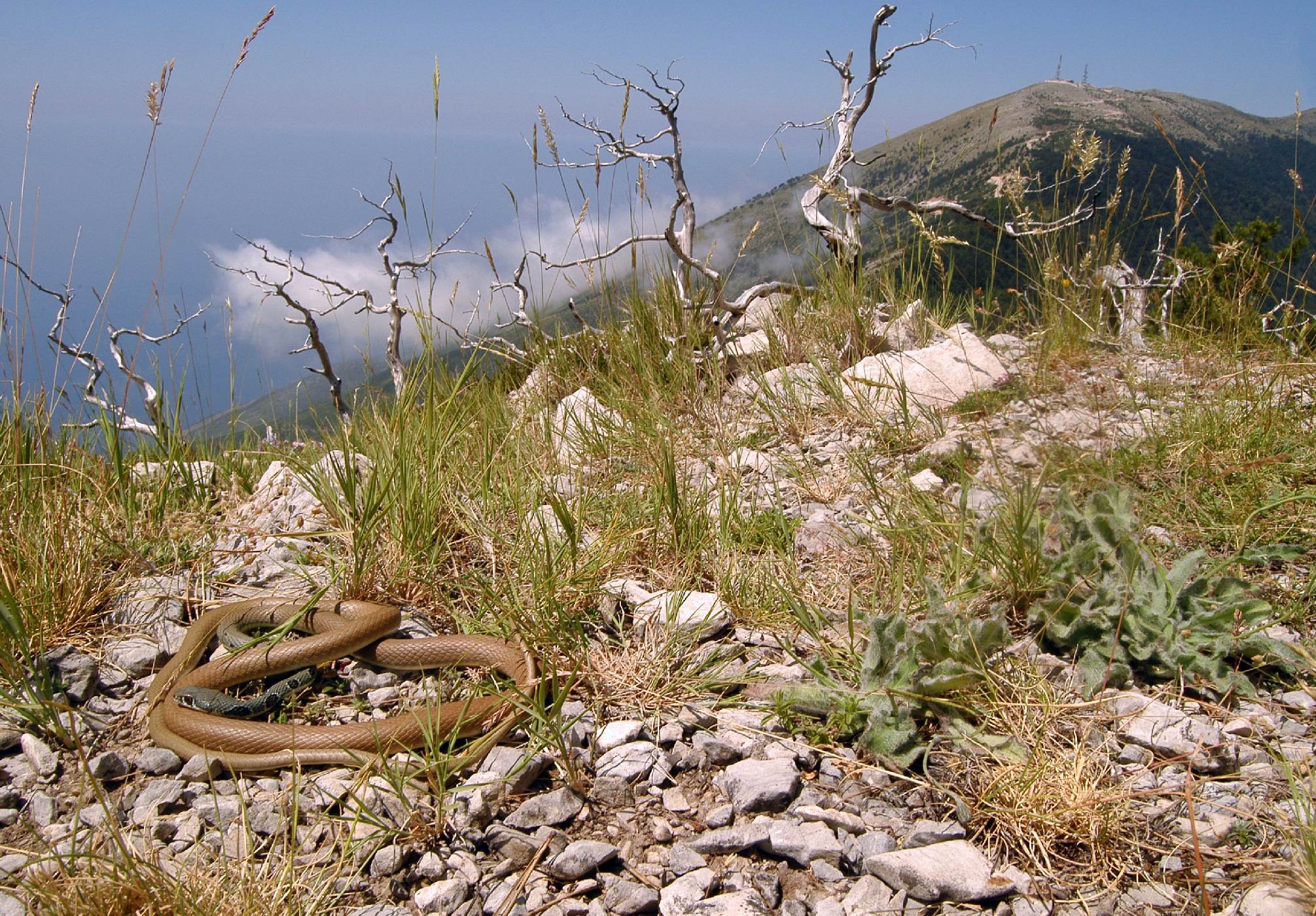 Pohled k moři