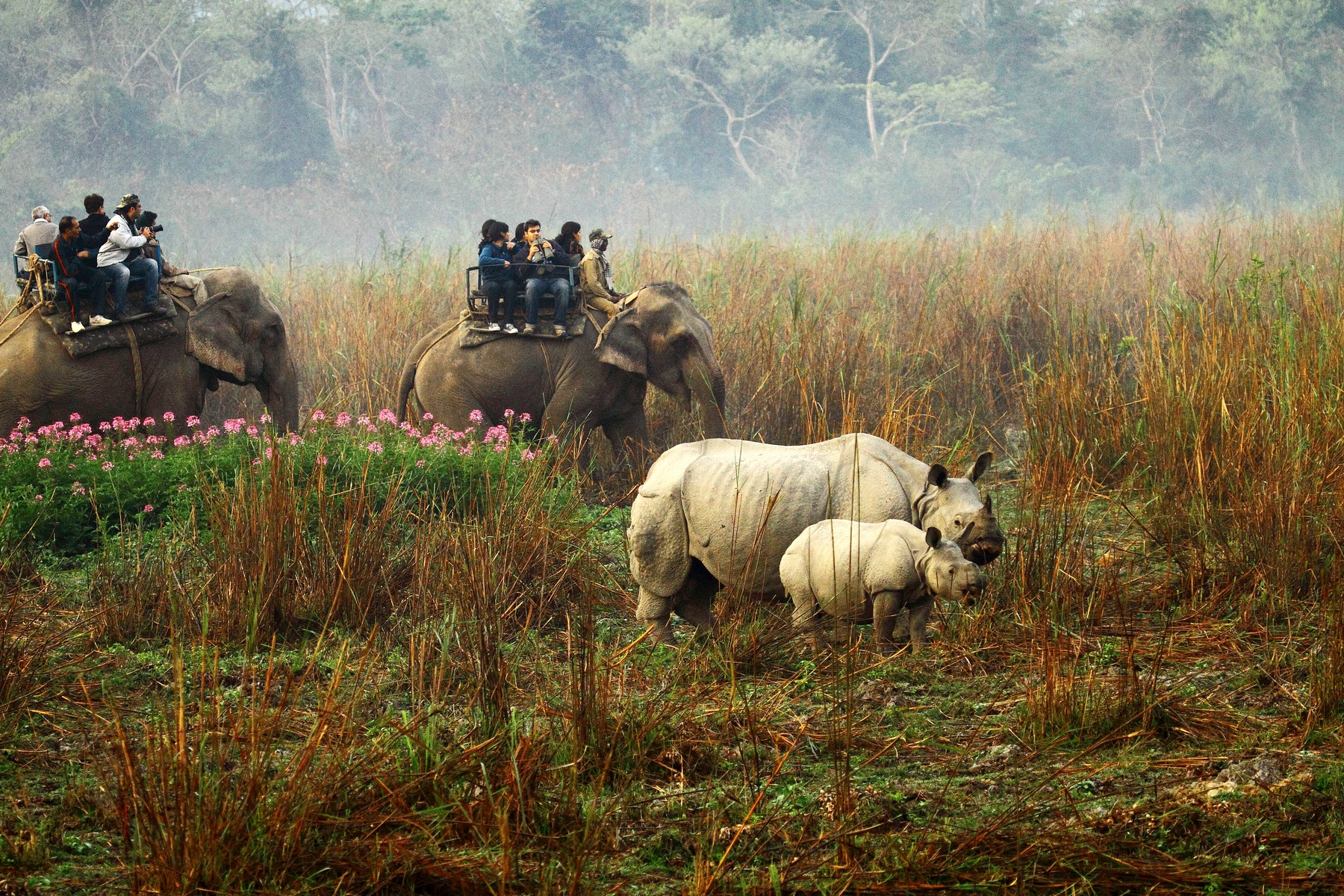 Národní park Kaziranga