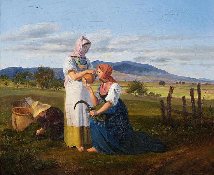 Letní sklizeň