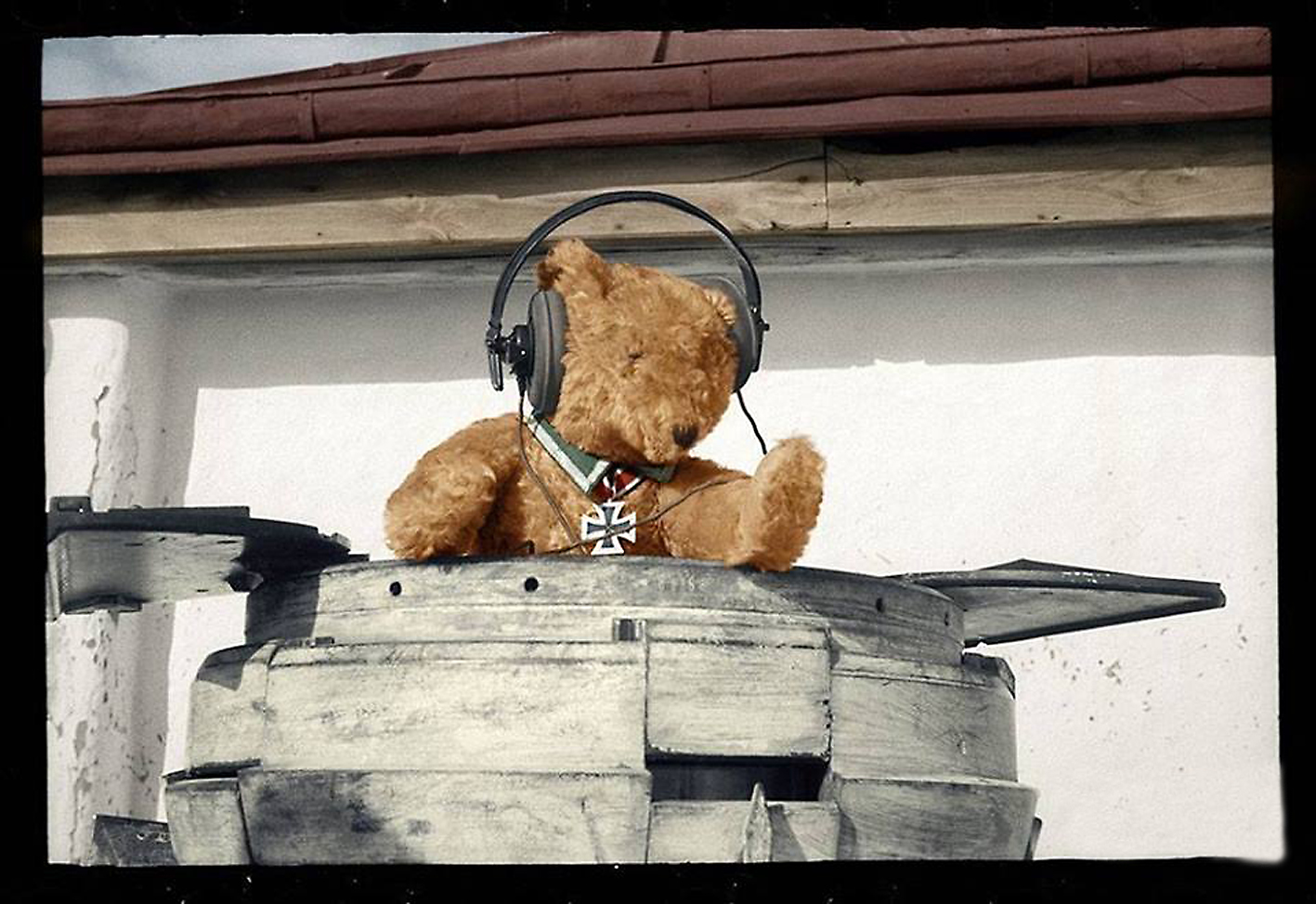 Cosselbär