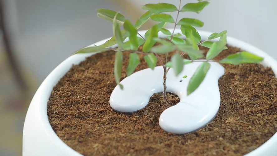Bios Urn