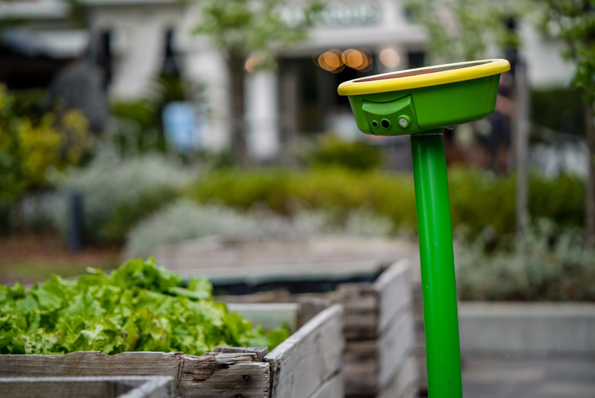 GardenSpace