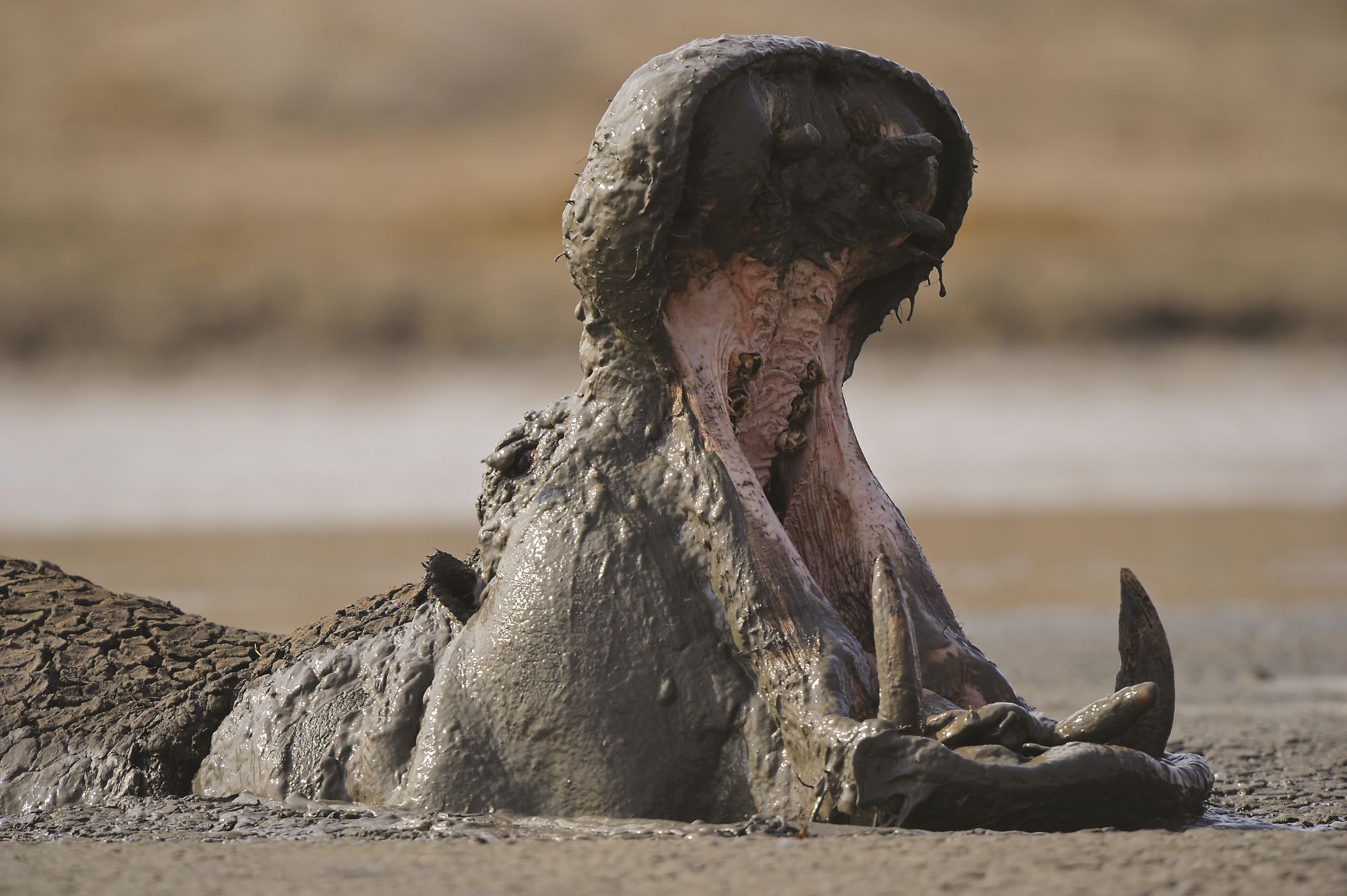 Proměny zapomenutého afrického státu: Svítání nad Zimbabwe ...