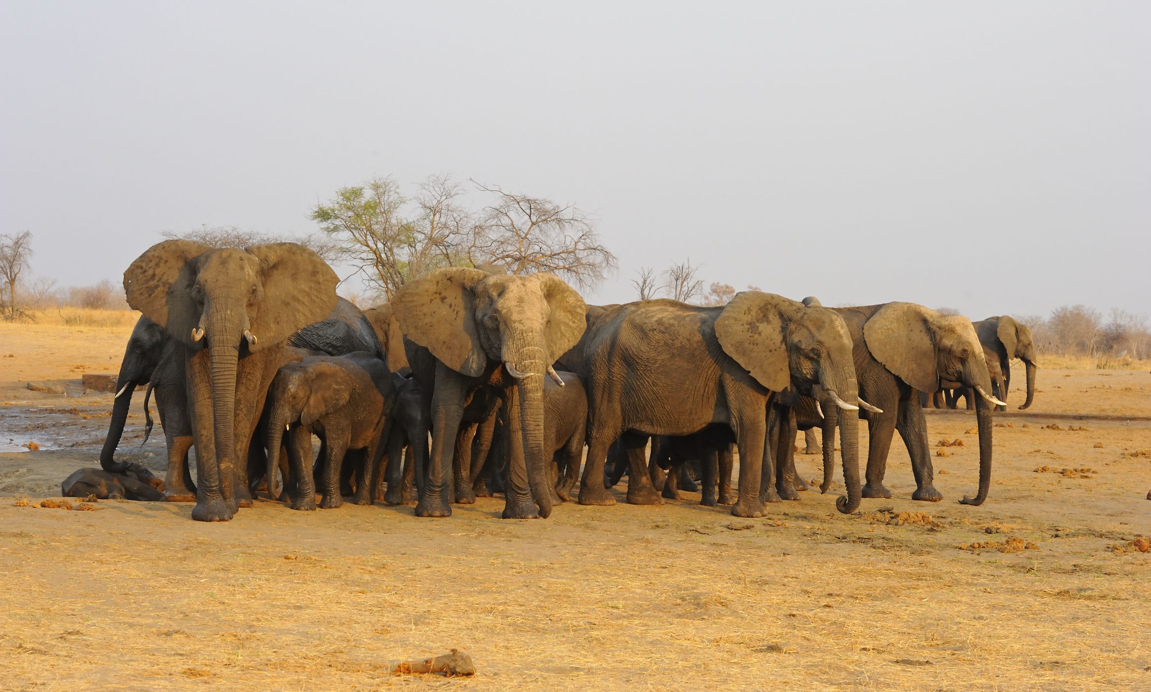 Proměny zapomenutého afrického státu: Svítání nad Zimbabwe ...