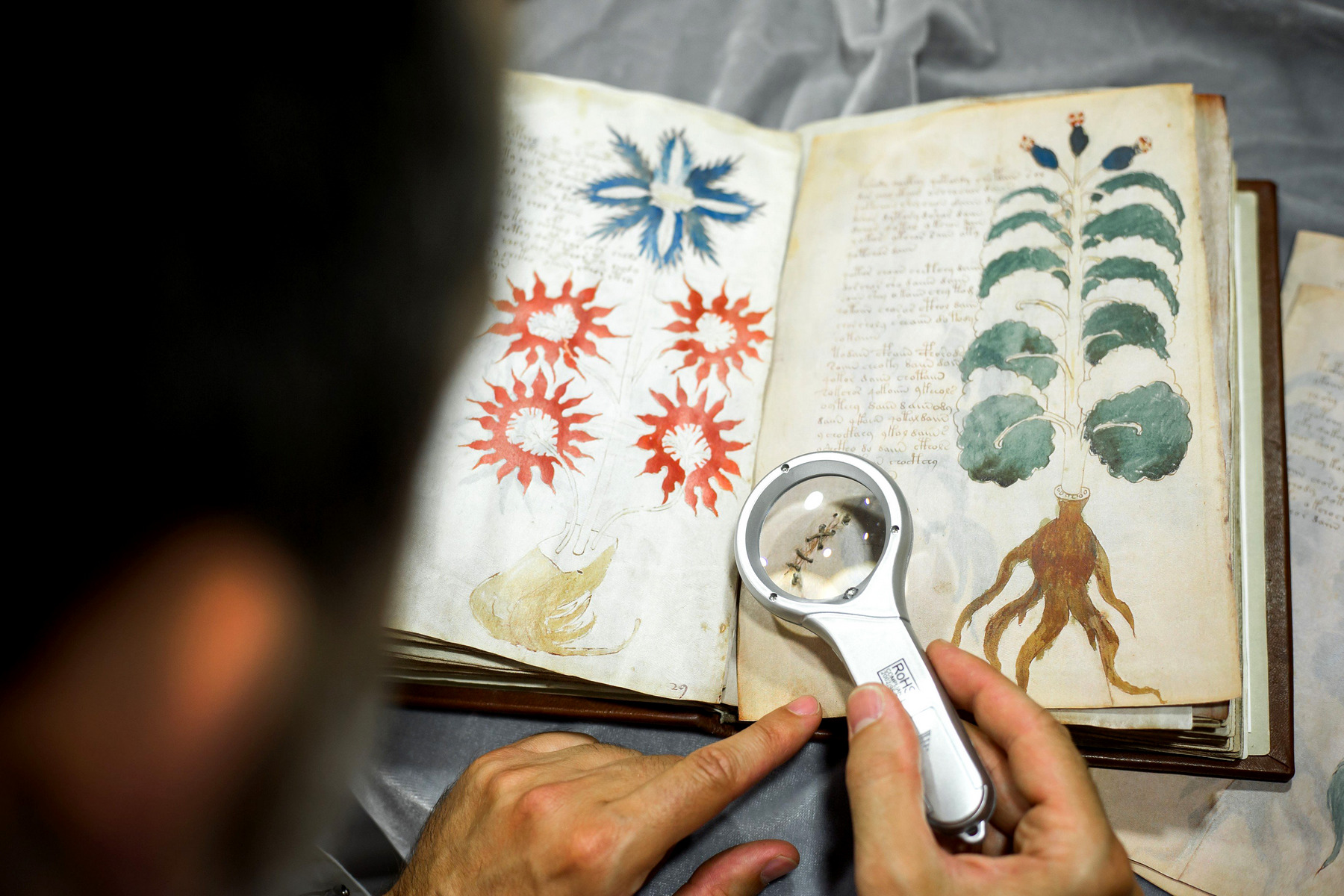 voynich manuscript solved 2018 voynich manuscript solved 2018