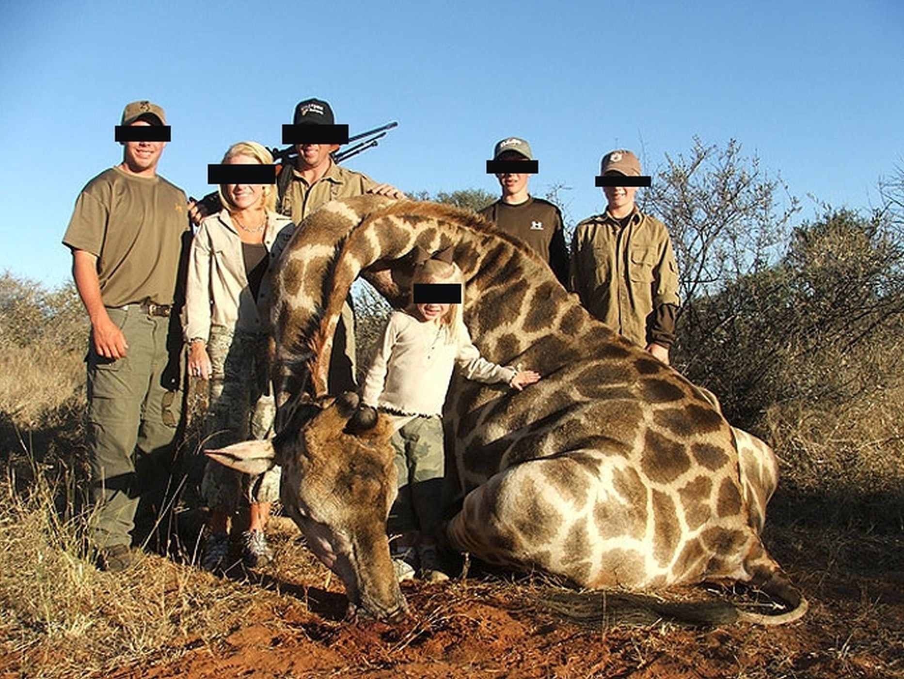 People and wildlife. Проклова охота на жирафа.