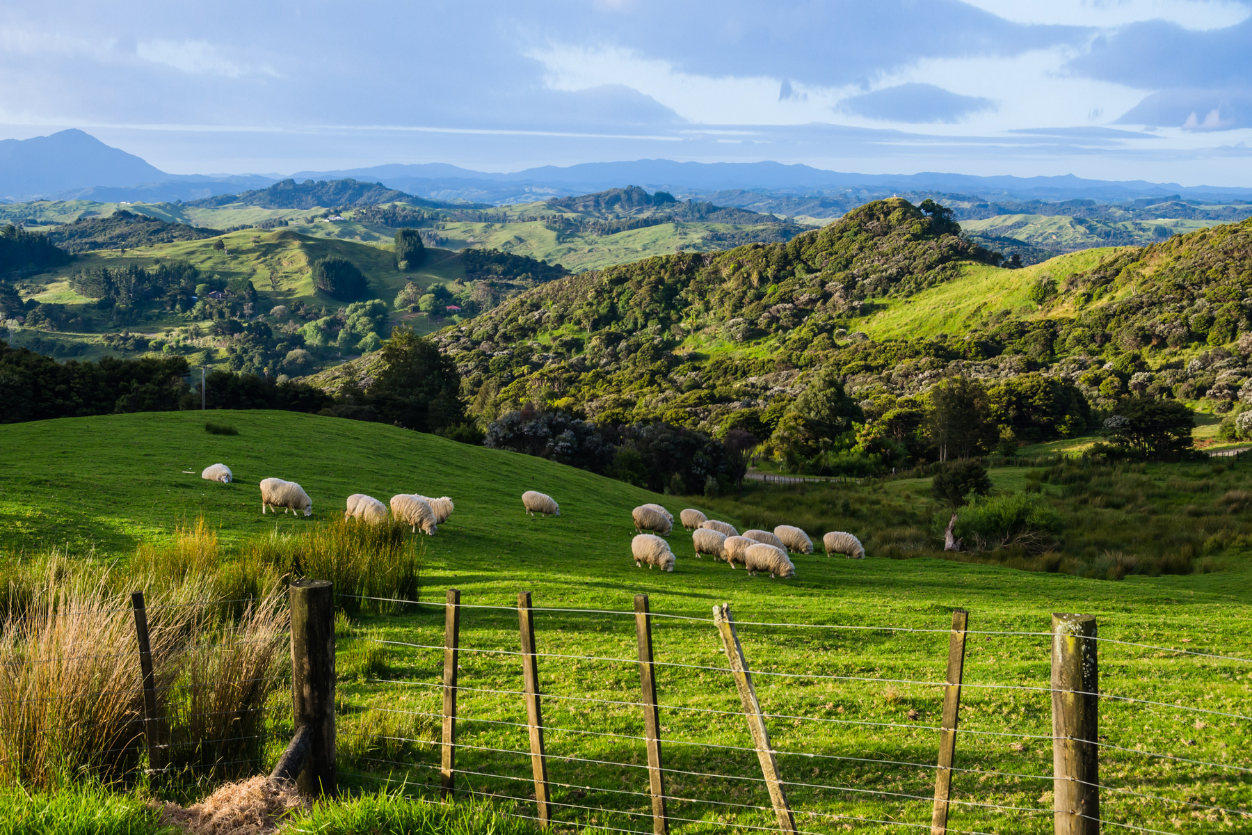 Mezi starým a novým: Podle čeho dostal jméno Nový Zéland?  