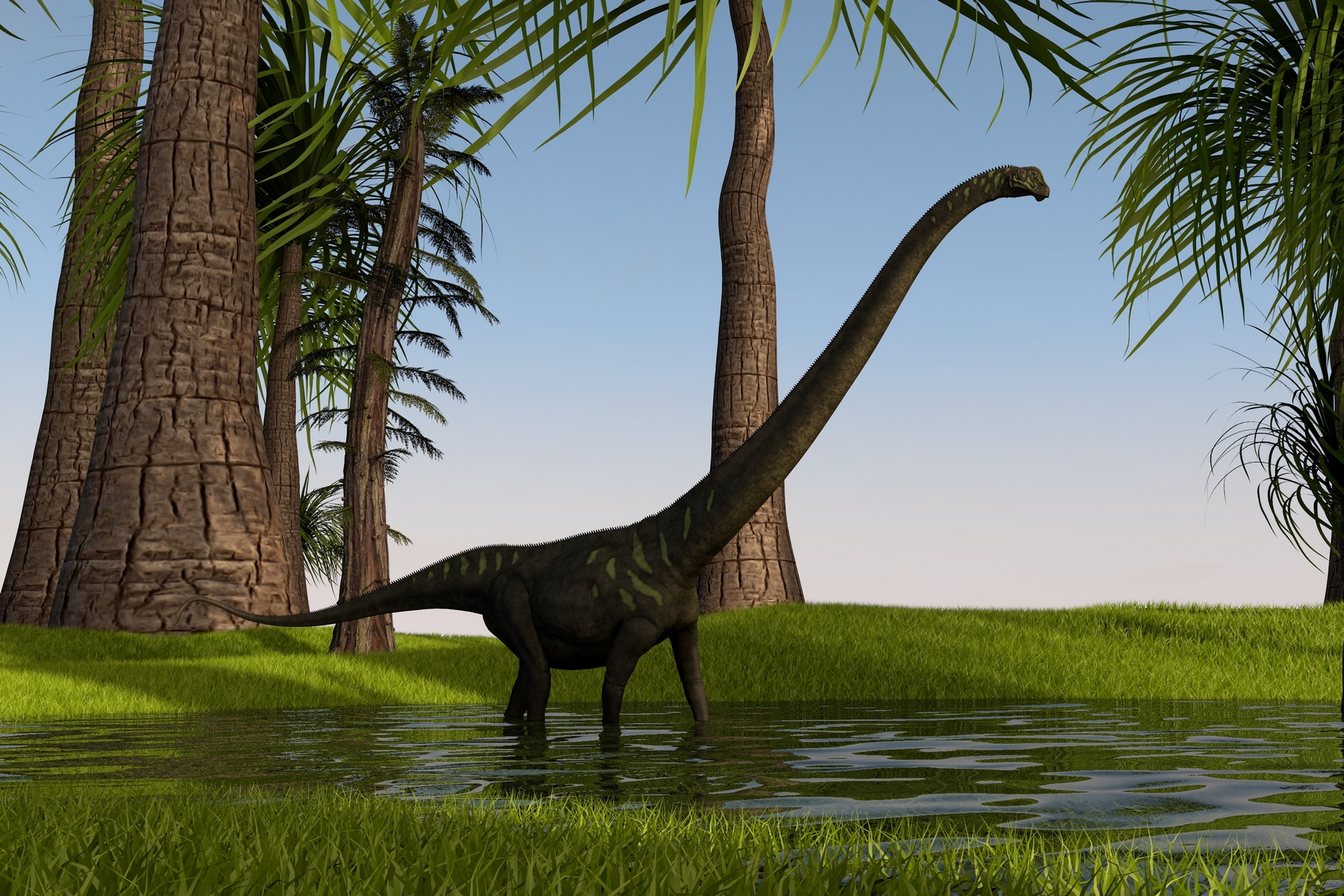 Jurský mamenchisaurus z Číny měl krk šestkrát delší než žirafa