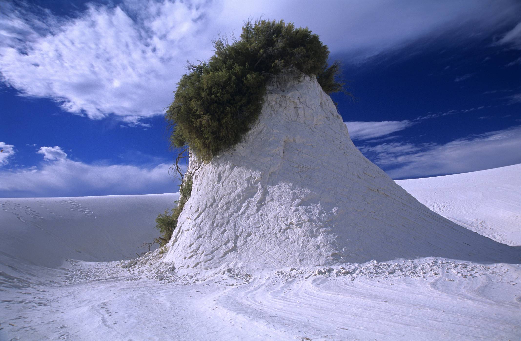 Pustiny Severní Ameriky: Čtyři druhy pouště | 100+1 zahraniční zajímavost