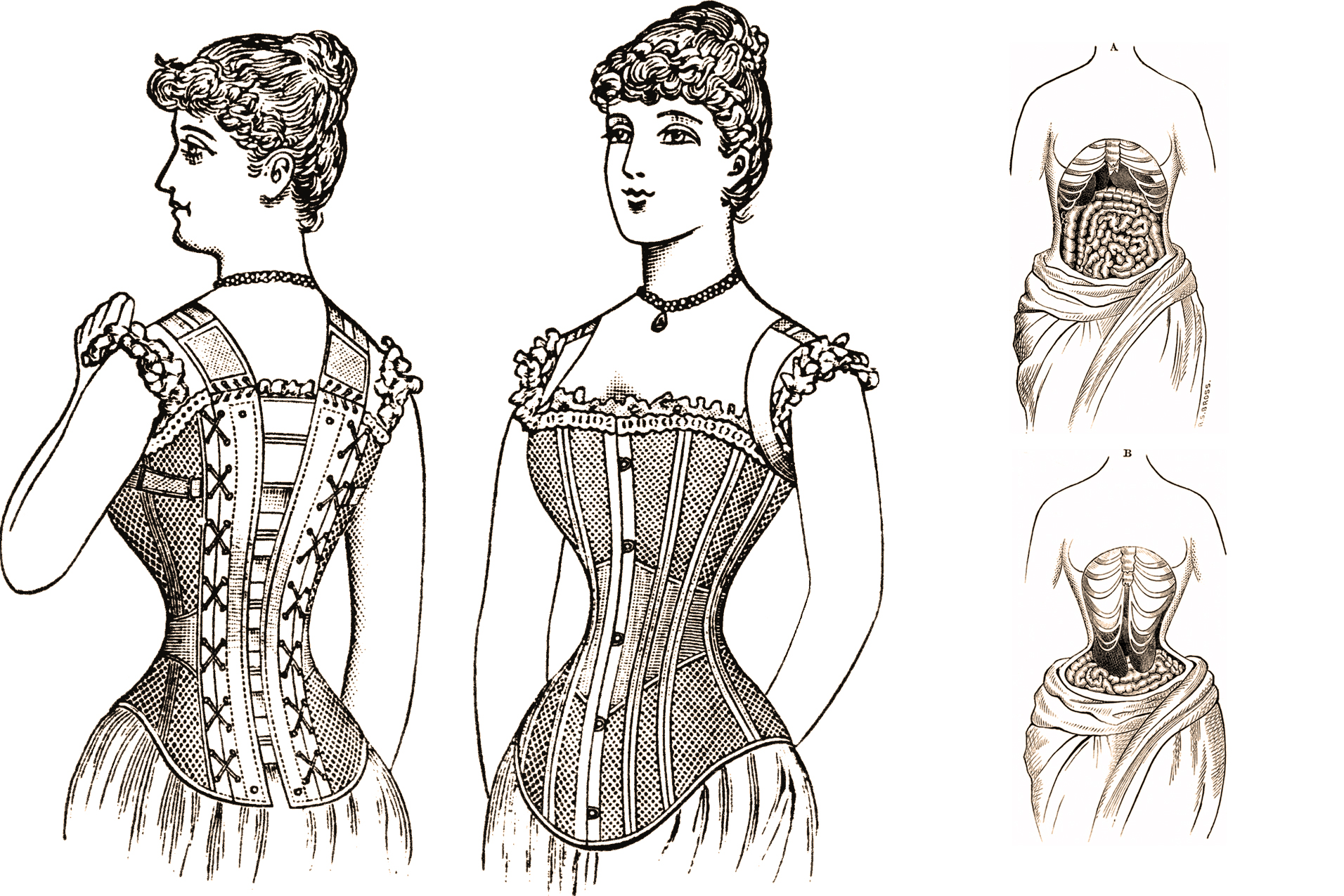 Корсеты Avanua Ariel corset Ecru, Бежевый, S/M Ava_Ariel corset Ecru S/M - Avanua - Эротические корсеты и бюстье - Купить