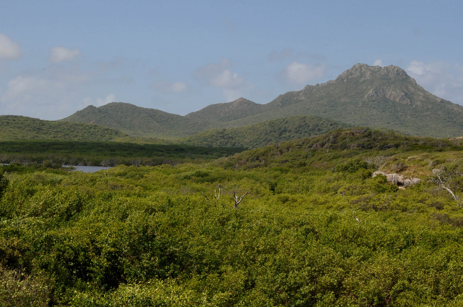 <p>Nejvyšším vrcholem Curaçao je <strong>Christoffelberg</strong>. <em>(foto: Wikimedia Commons, Jerrye & Roy Klotz, CC BY-SA 3.0)</em></p>