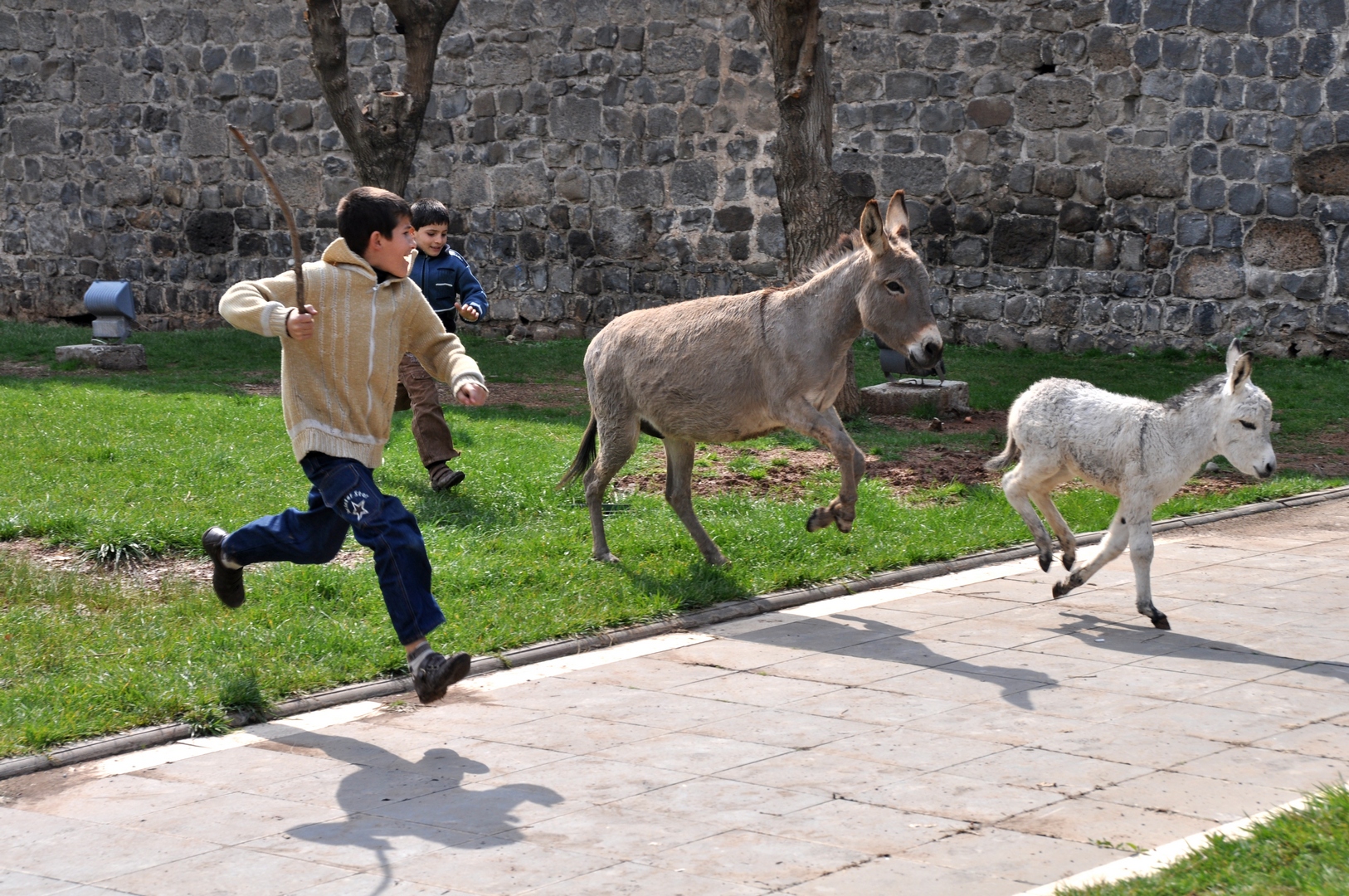 Hradby Diyarbakıru - 