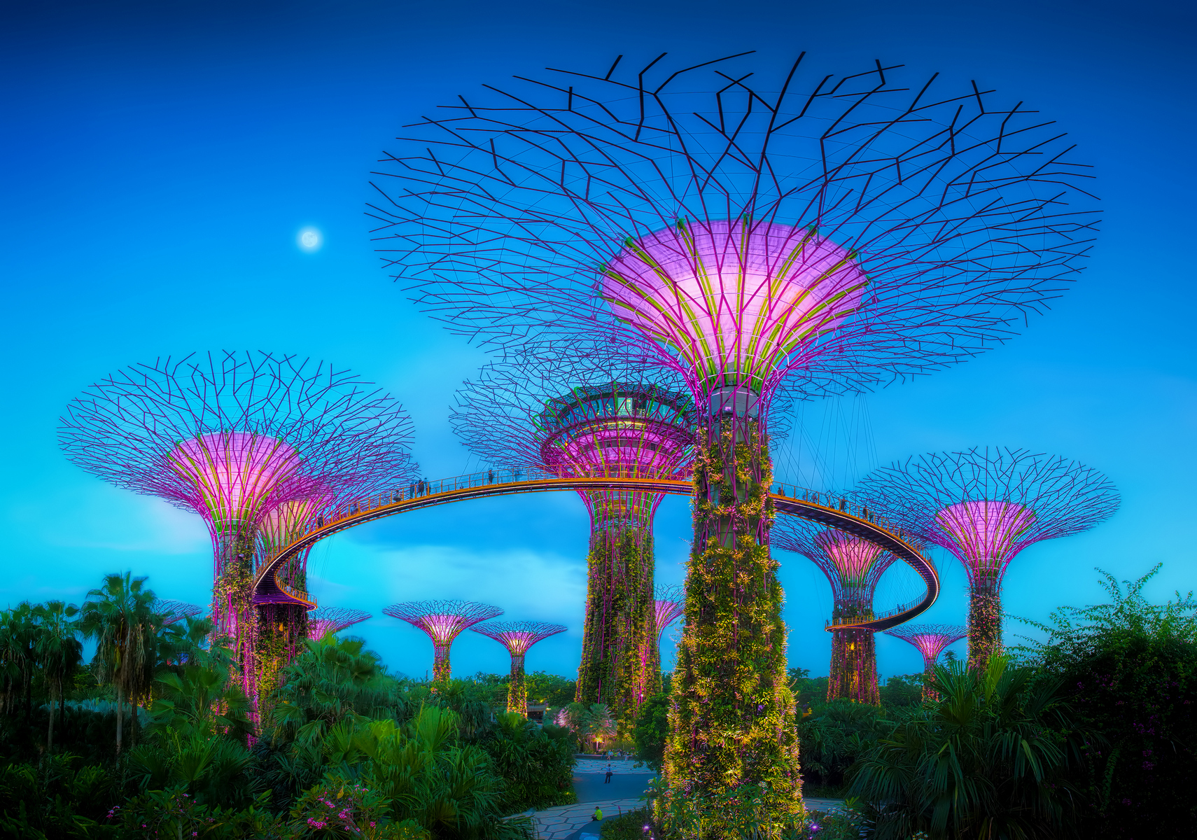 <p>Gardens by the Bay v Singapuru se svítícími stromy ze železobetonu ukazují, jak budou vypadat zahrady budoucnosti.</p>