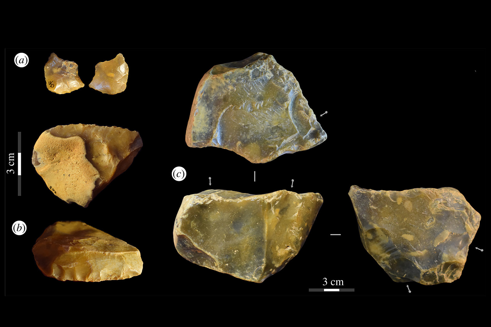 <p>Pěstní klíny objevené na předměstí Canterbury ve 20. letech 20. století. <em>(foto: University of Cambridge, CC BY 4.0)</em></p>
