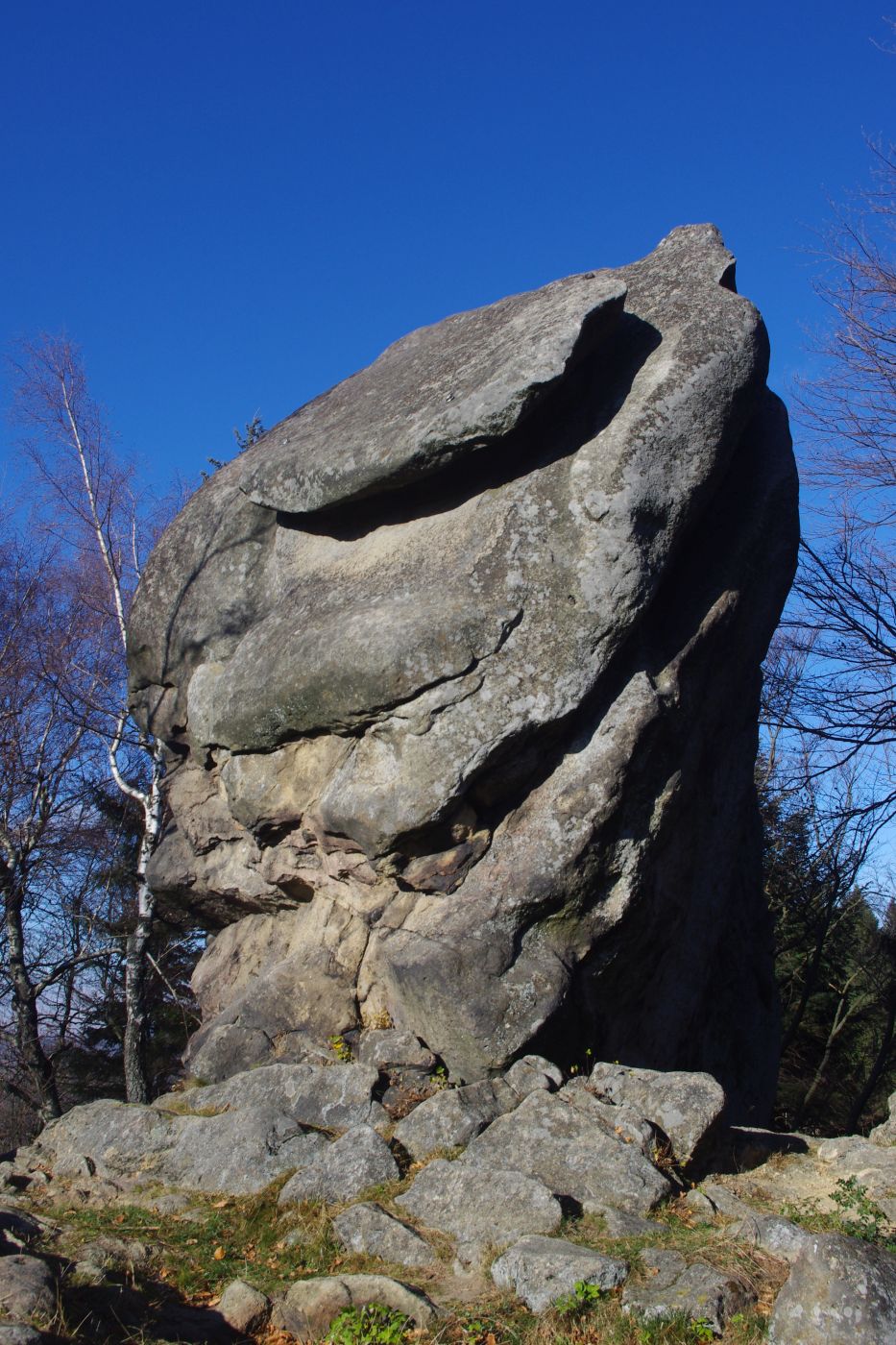 <p>Orel na Skalném. Tělo ptáka se sklopenými křídly (křídla tvoří ukloněné vrstvy) dosahuje výšku 8 metrů.<em> (foto: Martin Janoška - se souhlasem k publikování)</em></p>