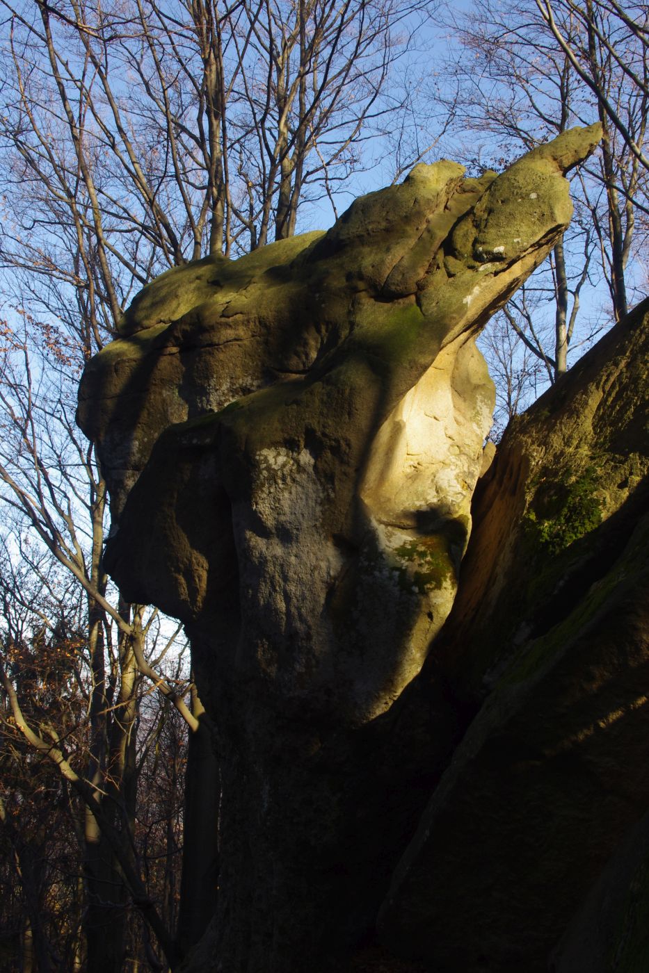 <p>Psí hlava pod Obřany.<em> (foto: Martin Janoška - se souhlasem k publikování)</em></p>