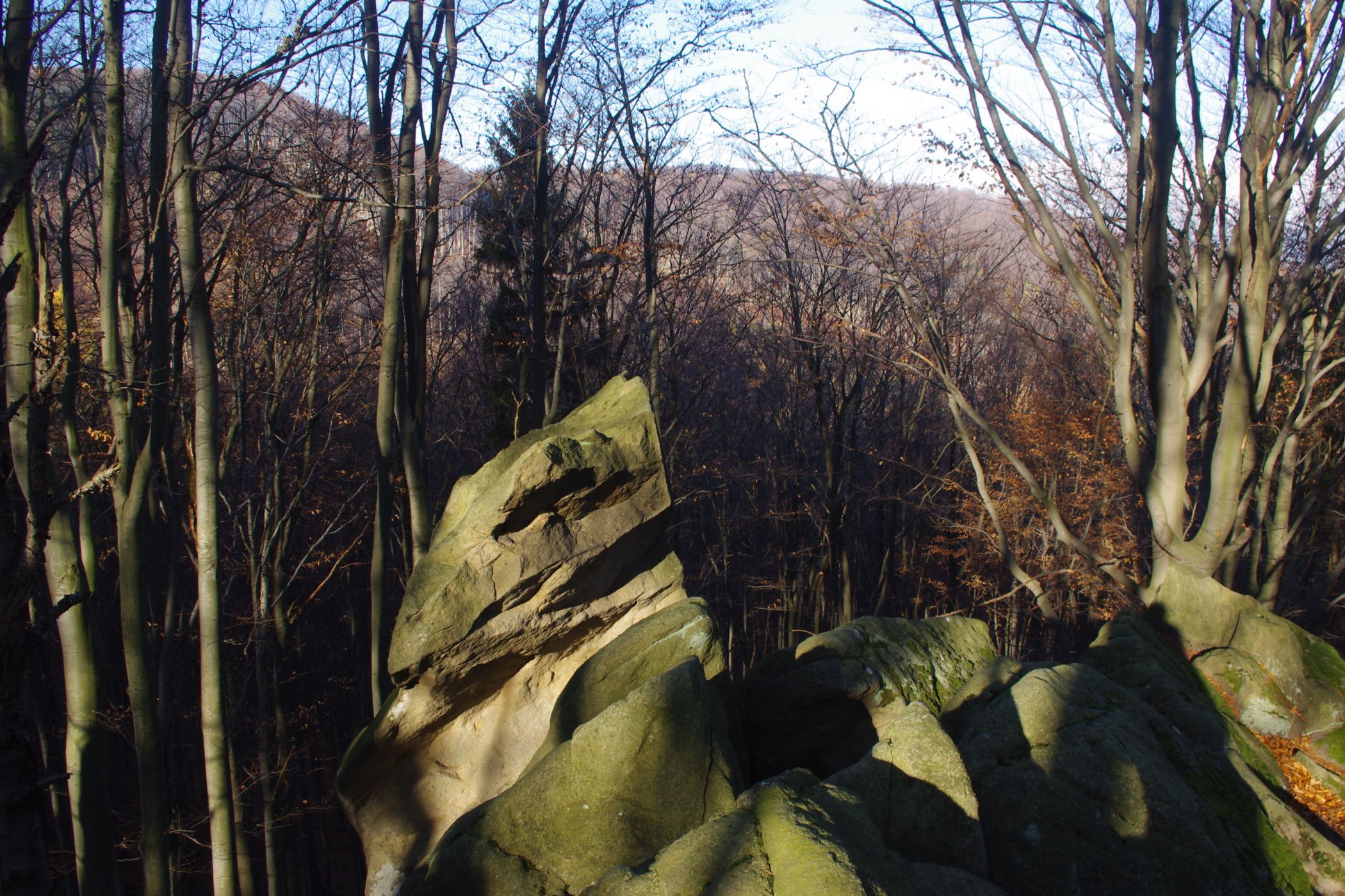 <p>Hlava dinosaura pod Obřany.<em> (foto: Martin Janoška - se souhlasem k publikování)</em></p>