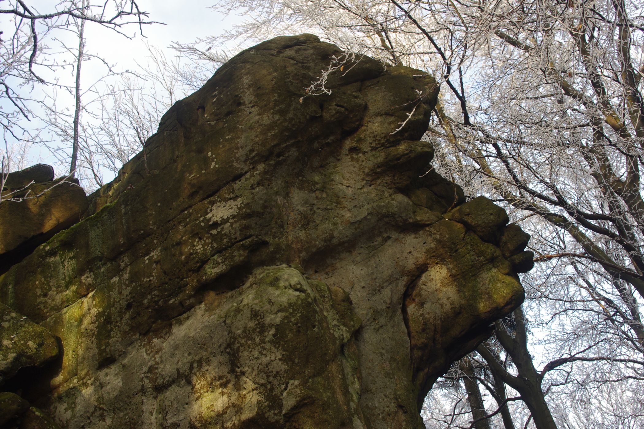 <p>Obří hlava na Smrduté.<em> (foto: Martin Janoška - se souhlasem k publikování)</em></p>