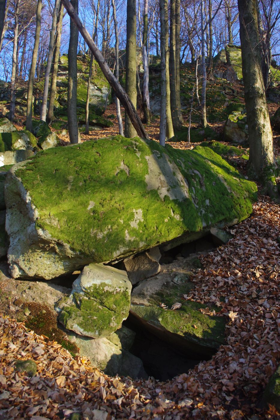 <p>Vchod do jeskyně pod Smrdutou.<em> (foto: Martin Janoška - se souhlasem k publikování)</em></p>